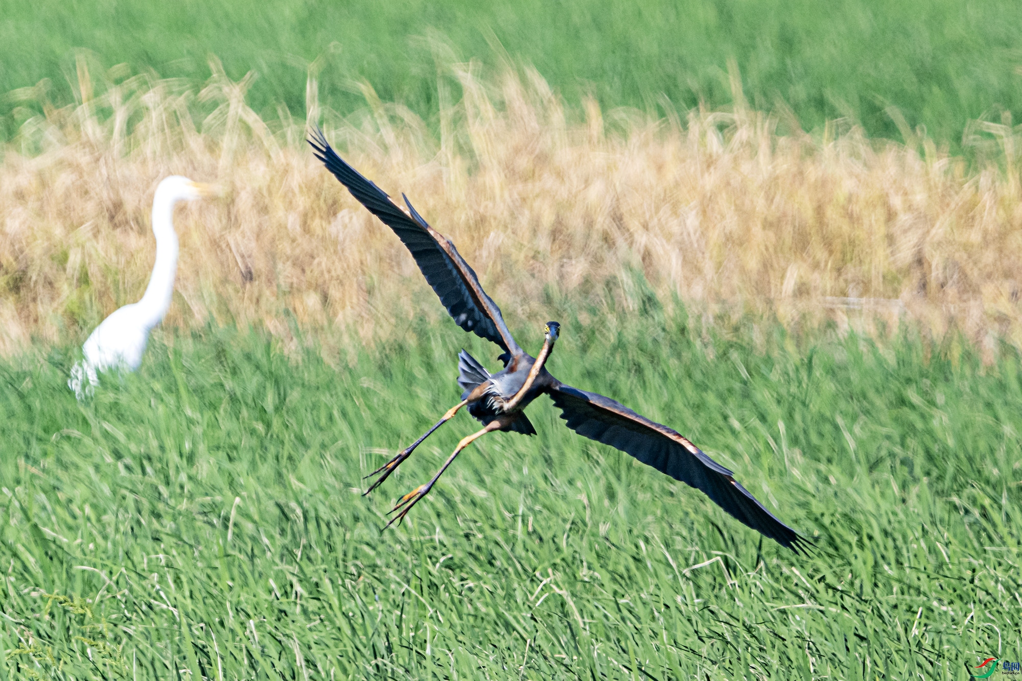 DSC_6383.jpg