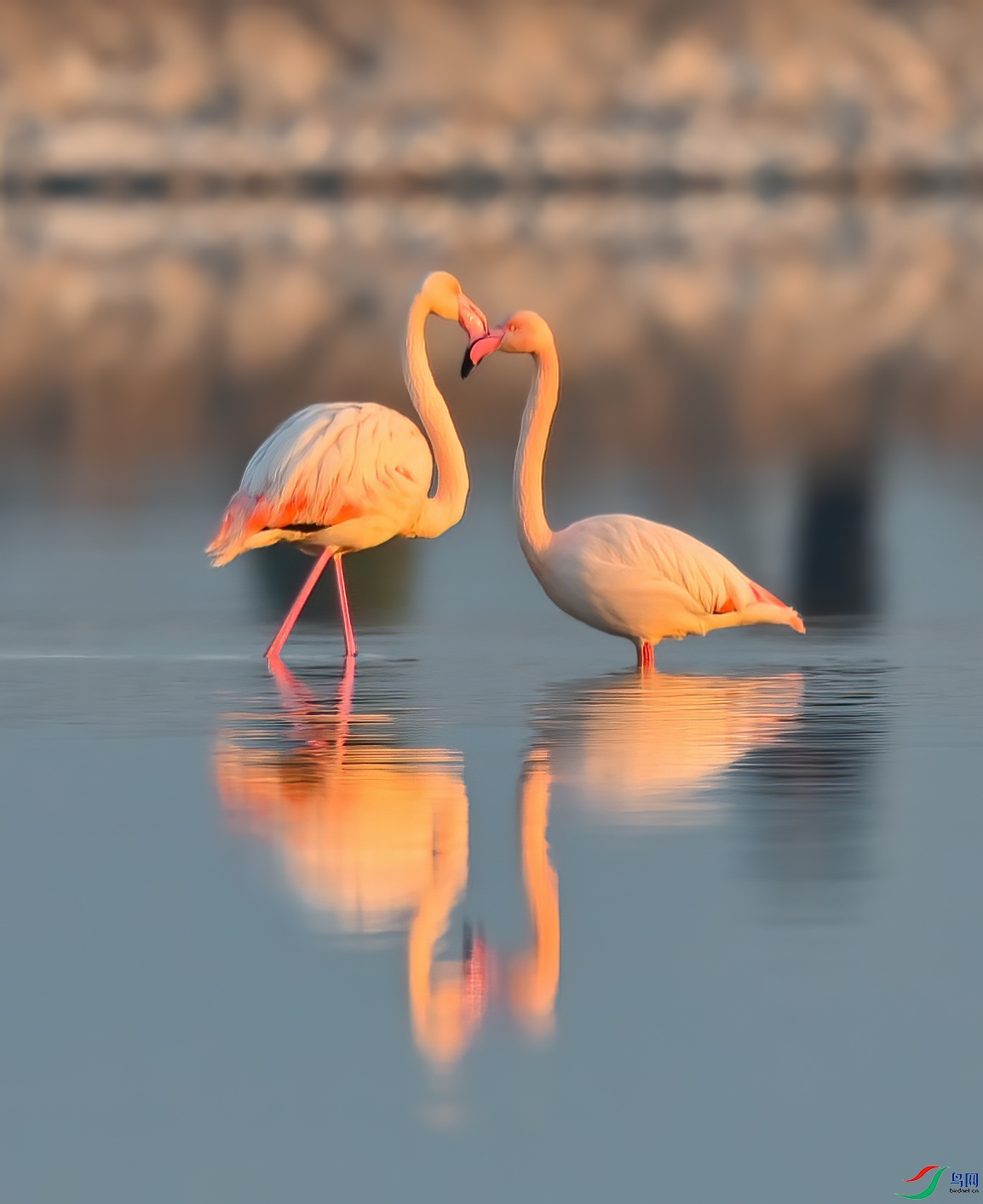 DSC_1066 - ����.jpg