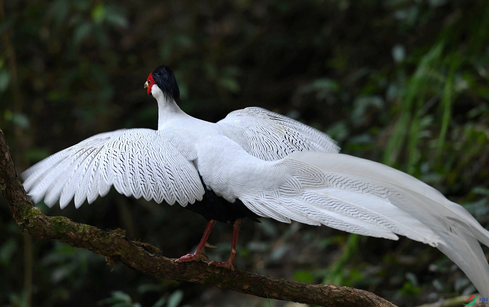 DSC_3531.jpg