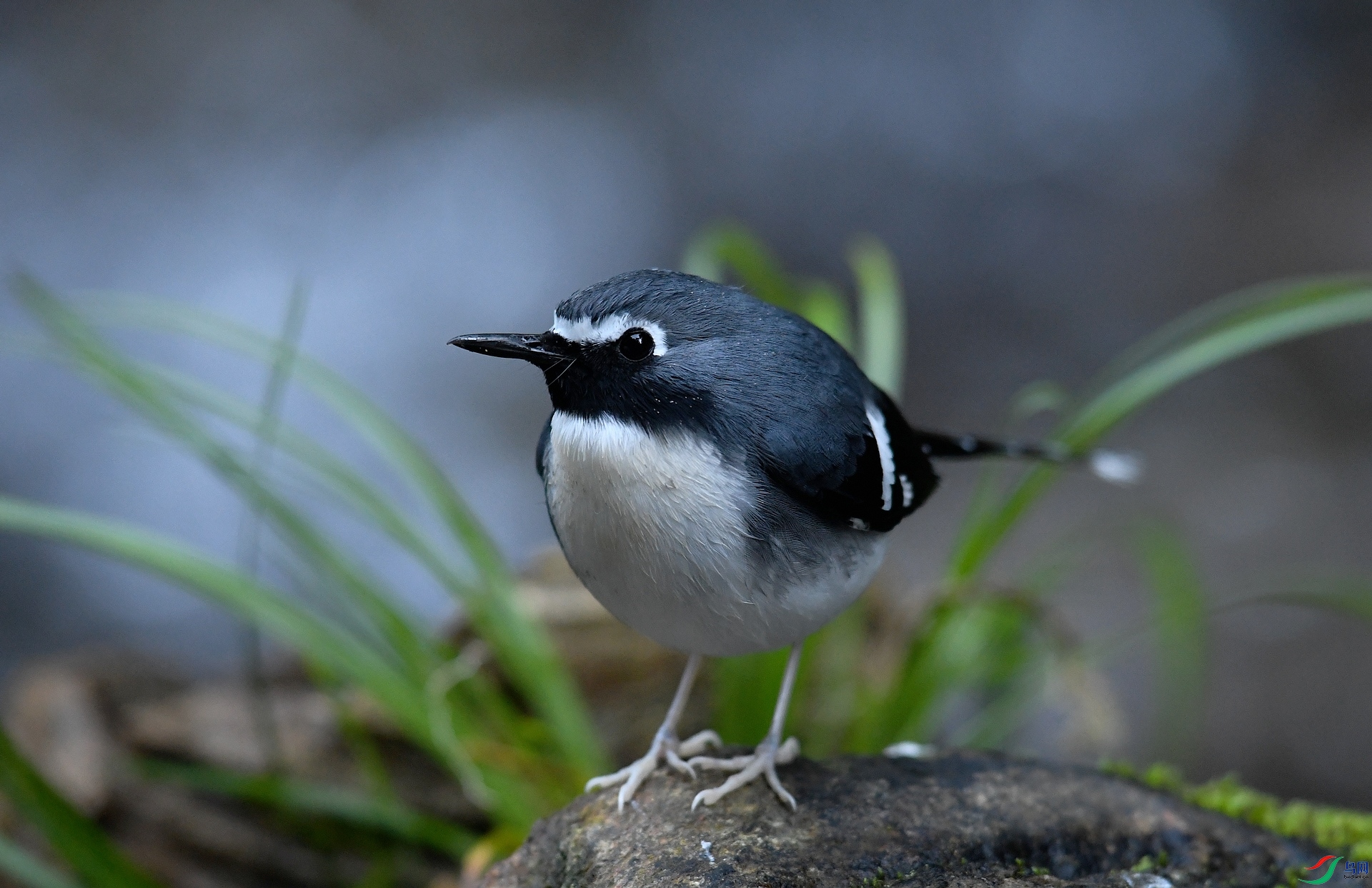 DSC_5491.jpg