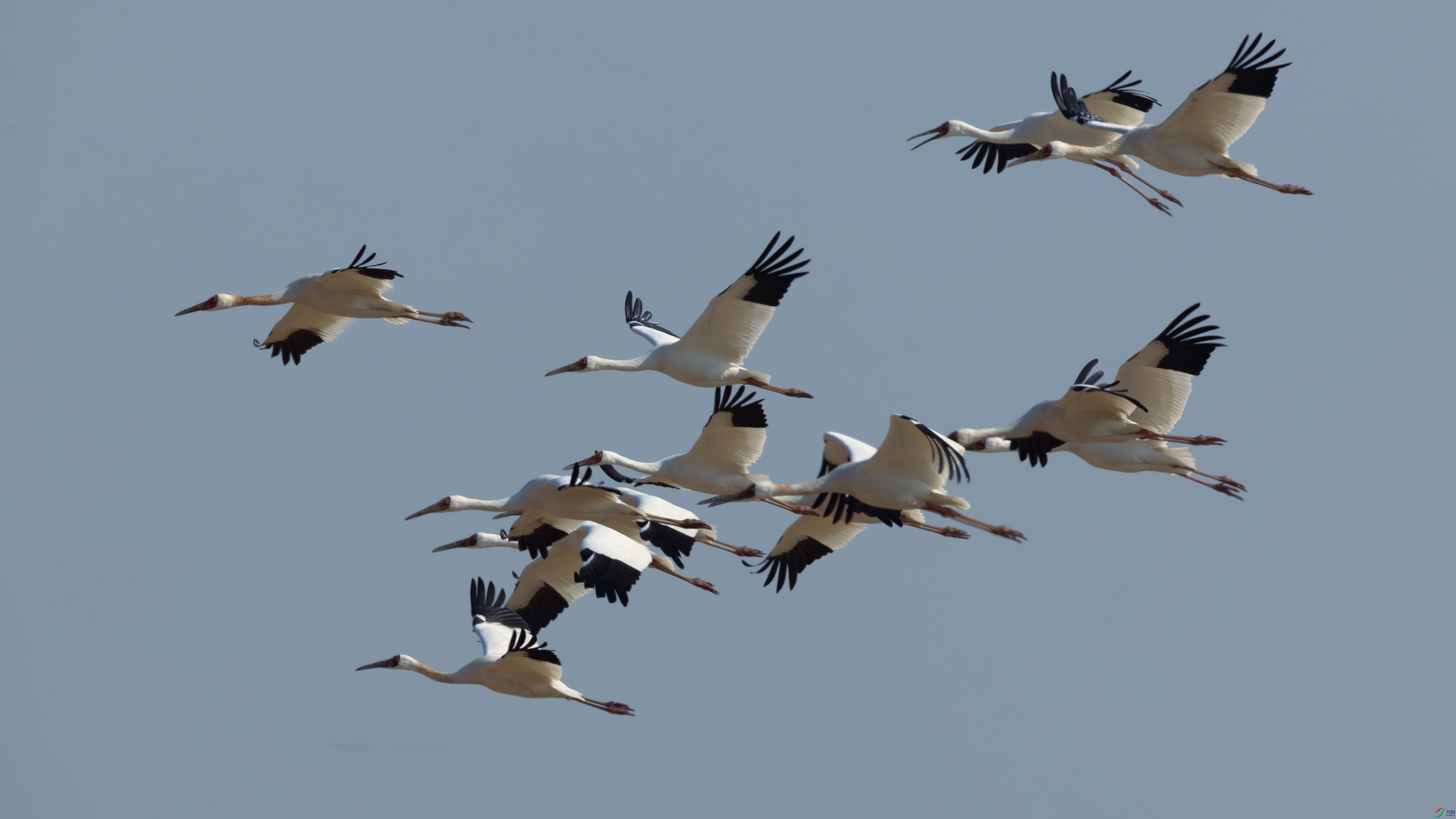 _O7A1977-����ǿ-NR ����.jpg