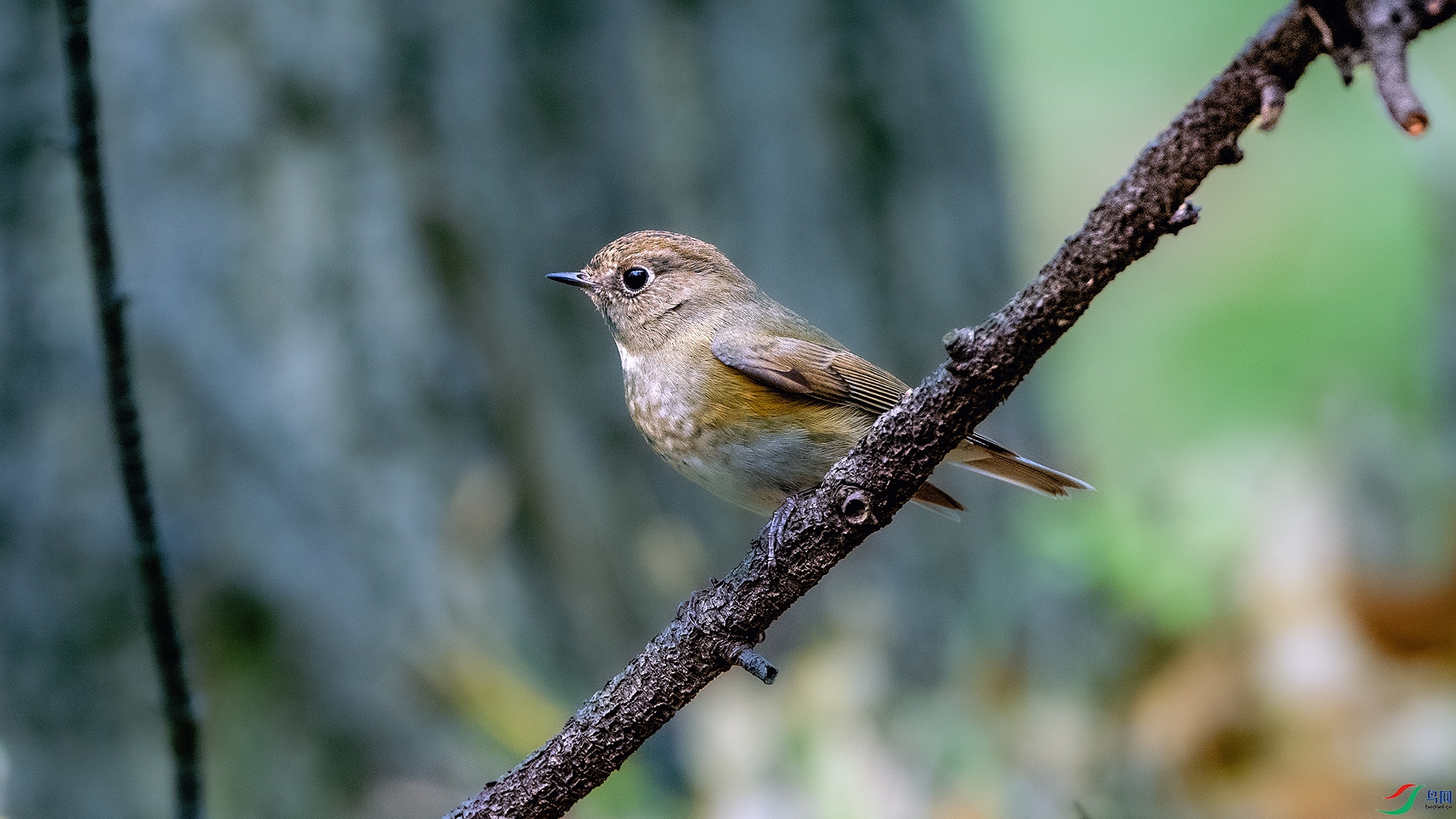 DSC_7665 ����.jpg