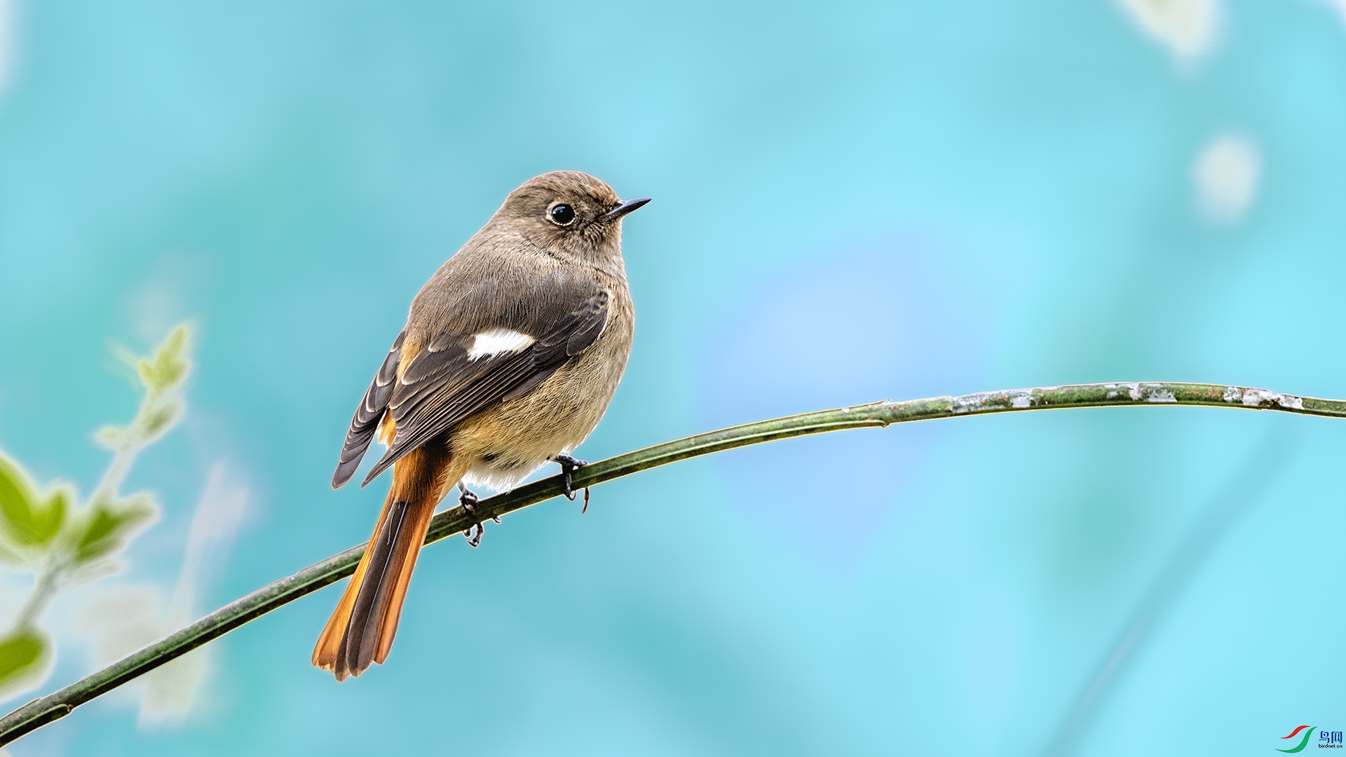 DSC_7674 ����.jpg