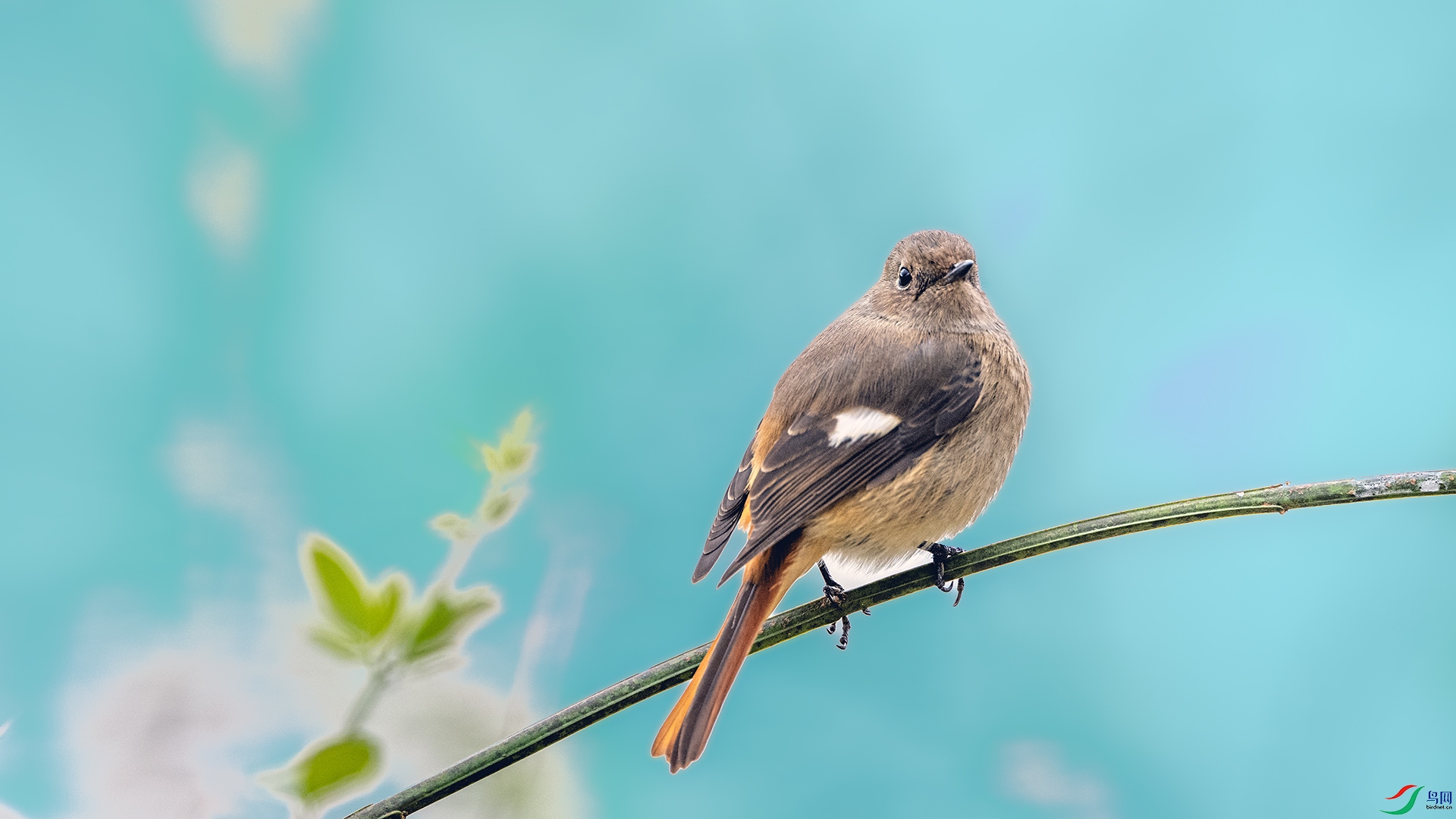 DSC_7684 ����.jpg