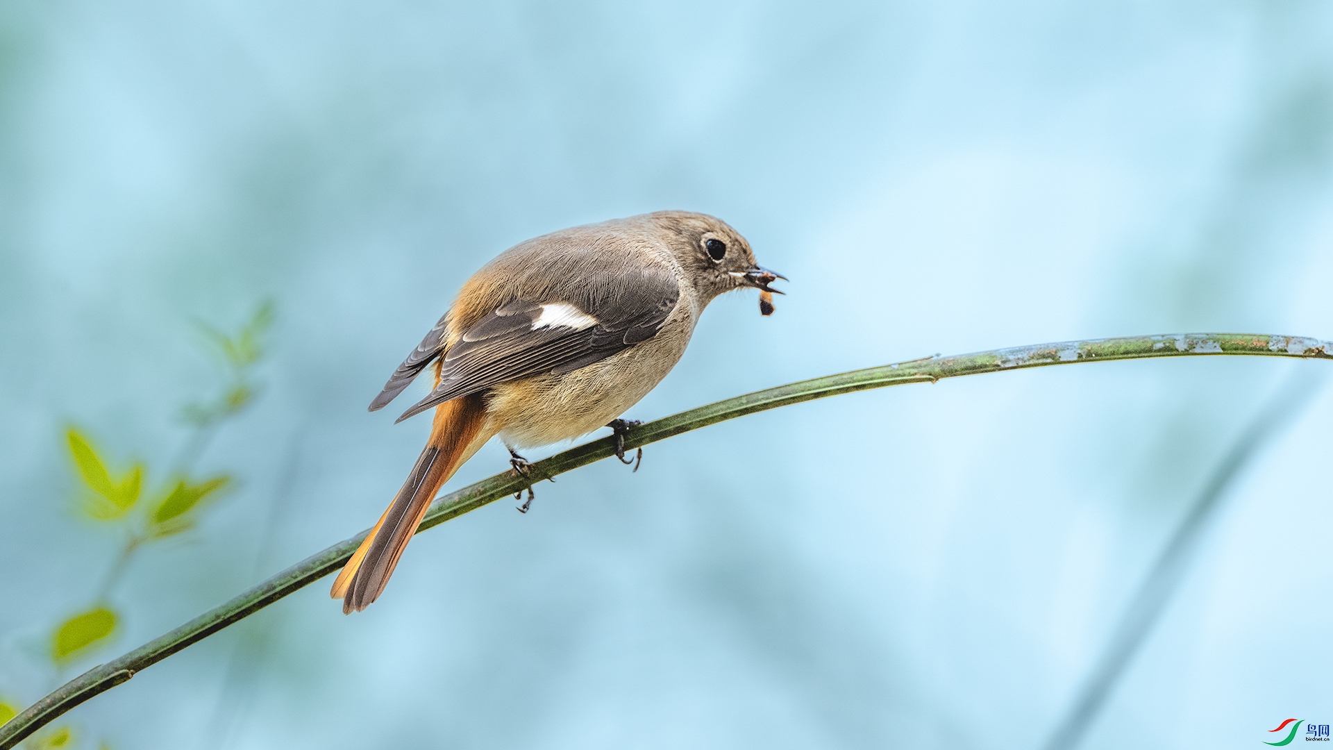 DSC_7712 ����.jpg