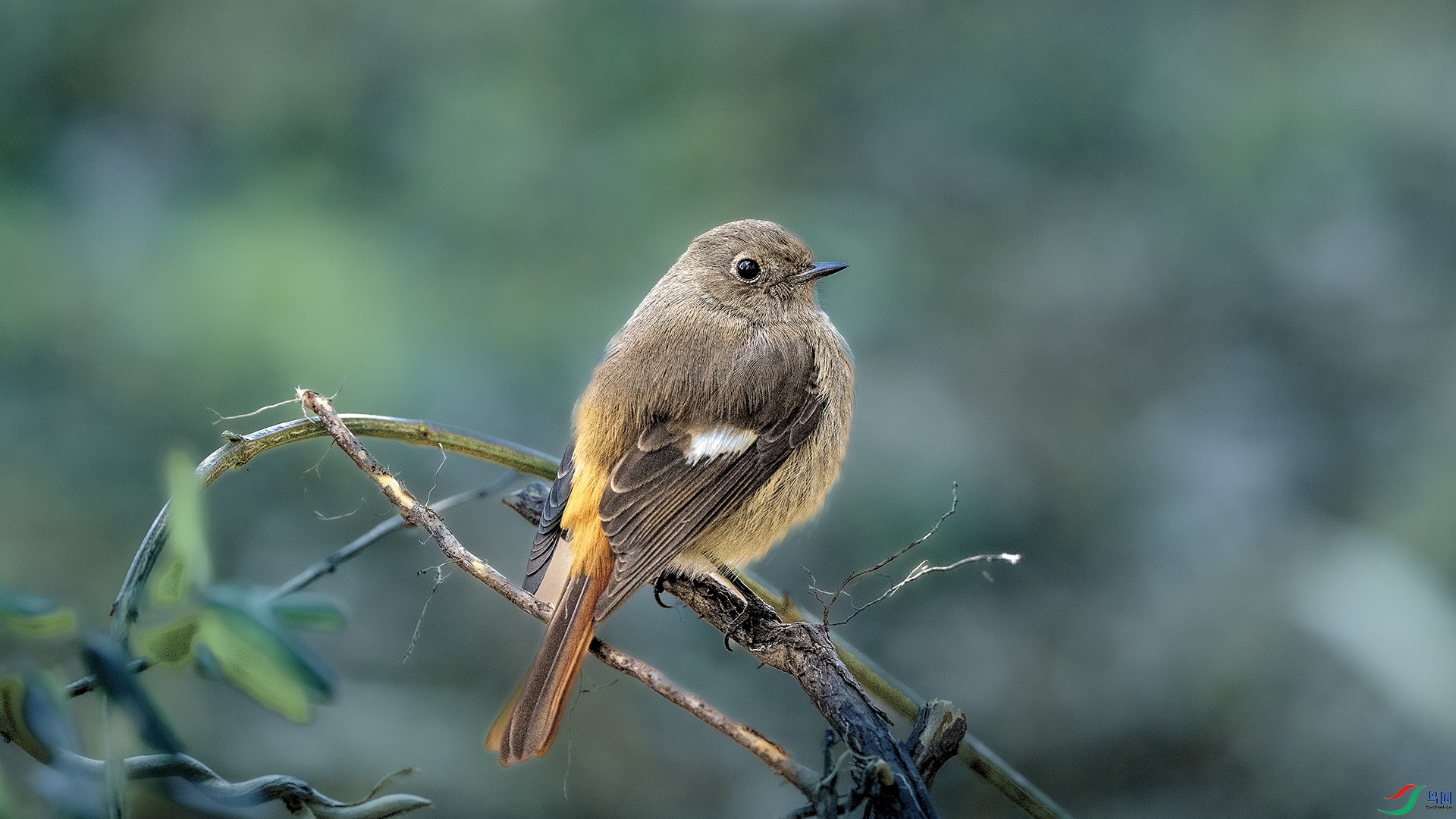 DSC_7752 ����.jpg