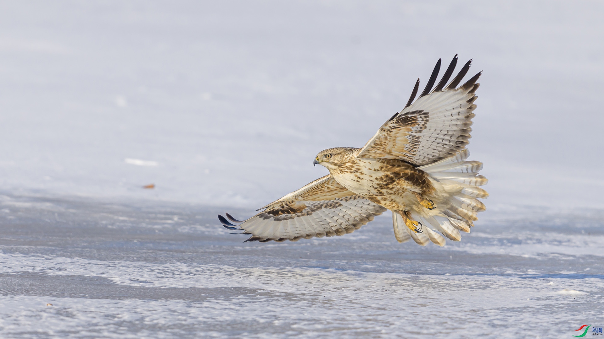 051A1236 ����n.jpg