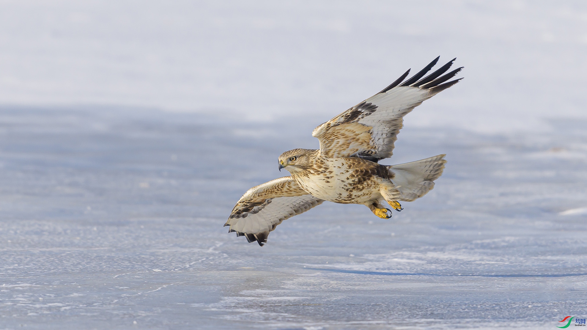 051A1108 ����n.jpg