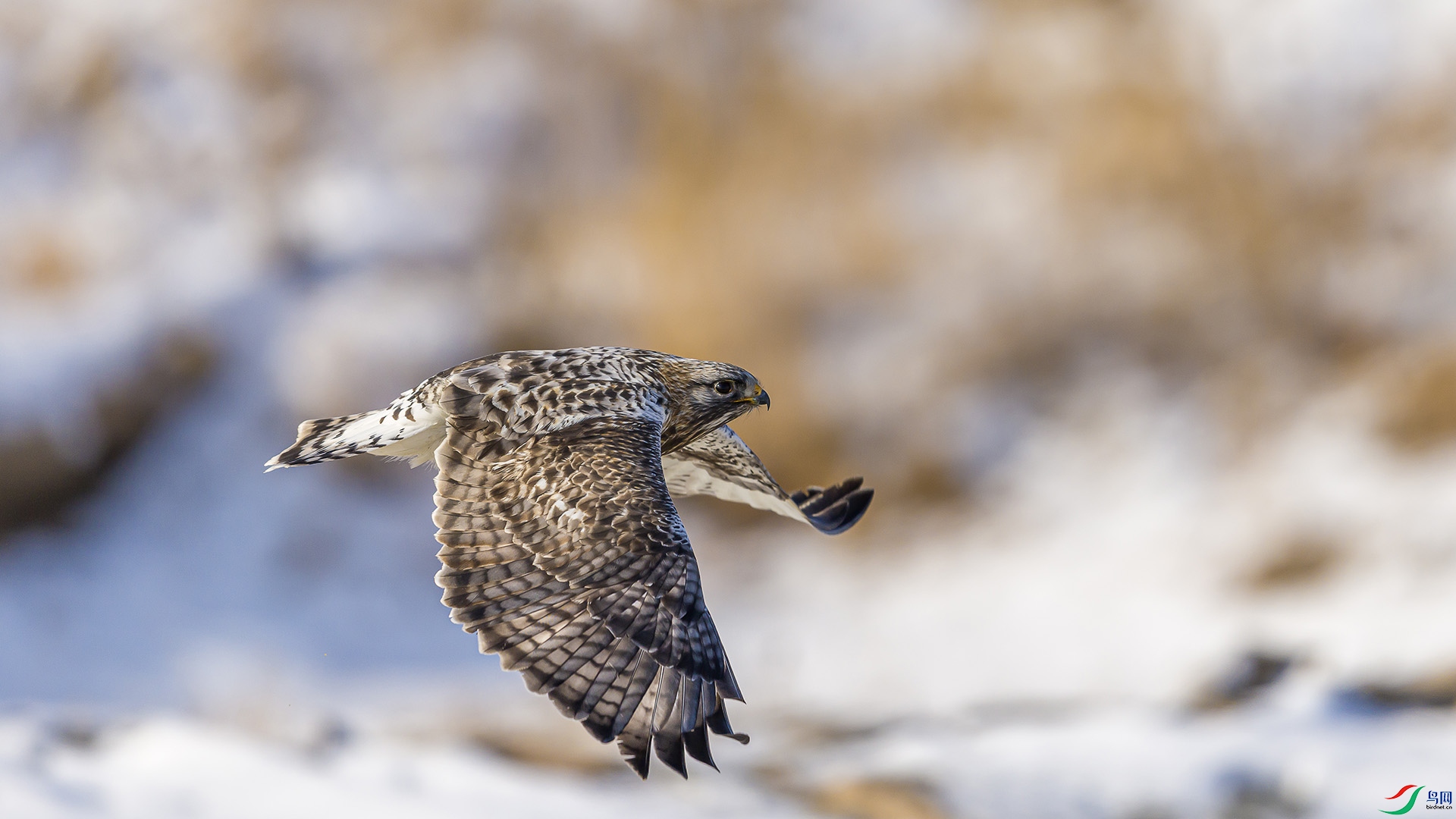 051A1938 ����n.jpg