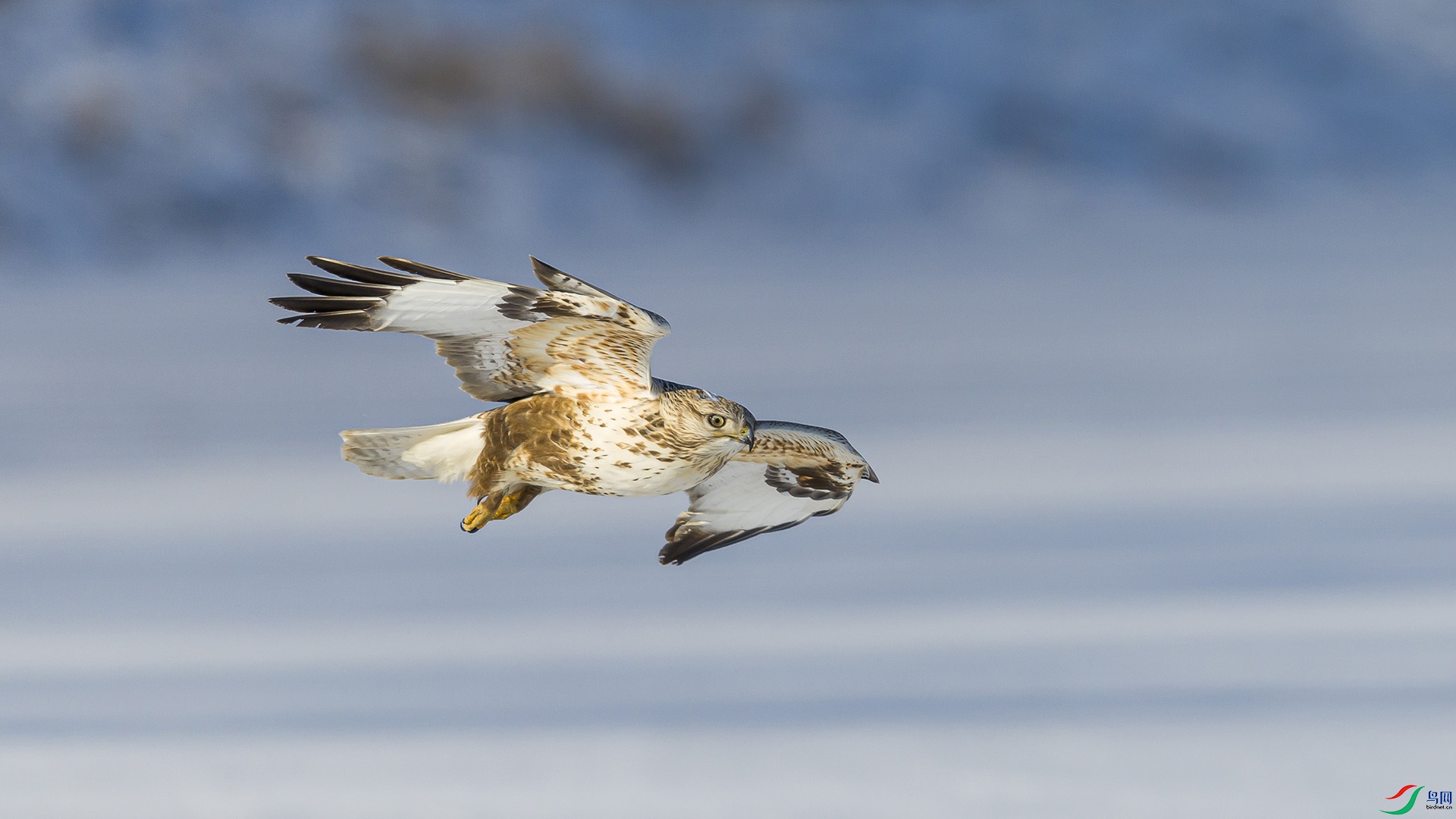 051A2072 ����n.jpg