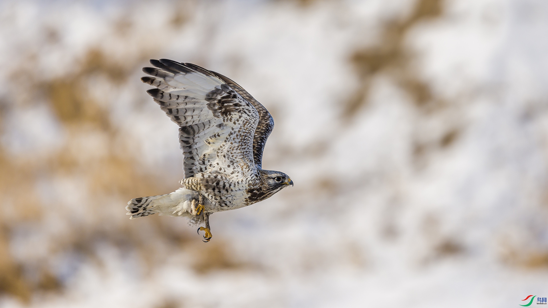 051A1941 ����n.jpg