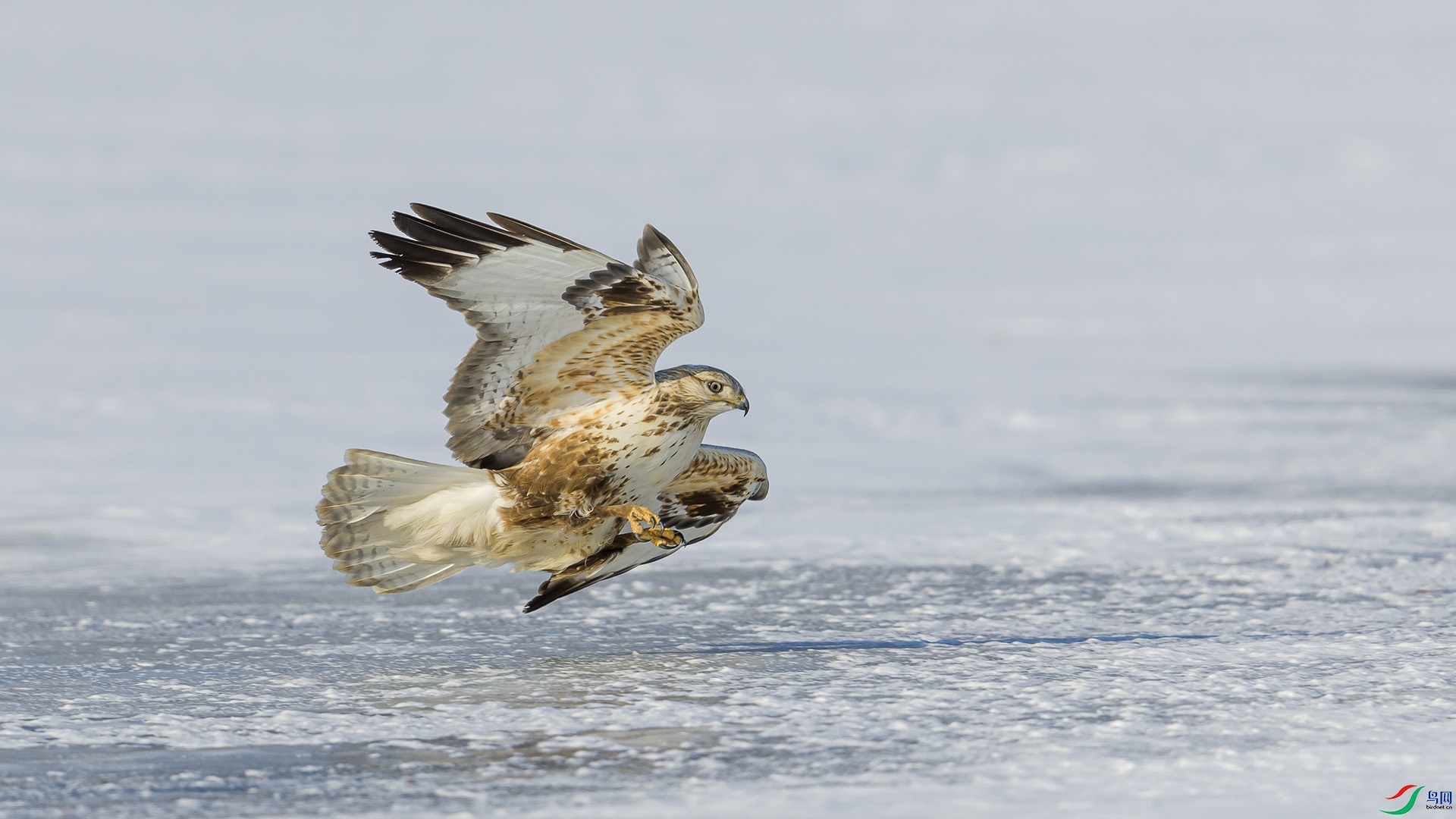 051A2090 ����n.jpg