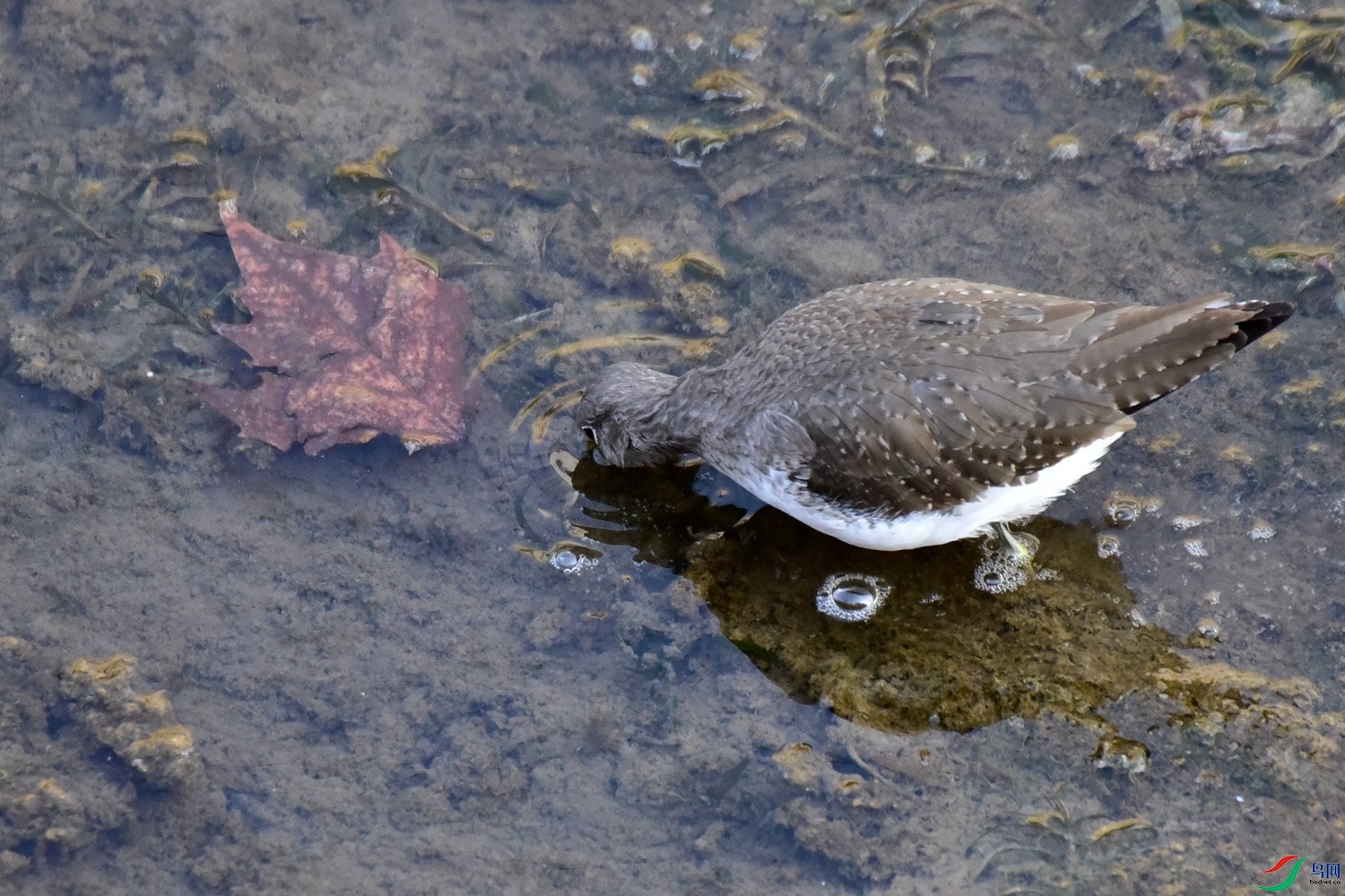 DSC_4408.JPG