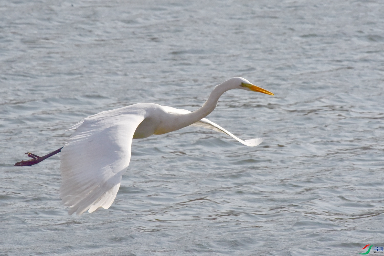 DSC_6107.JPG