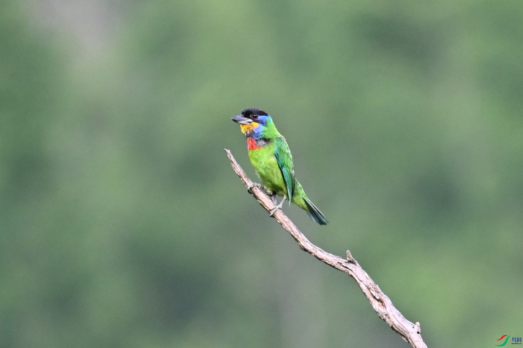 DSC_0215.JPG
