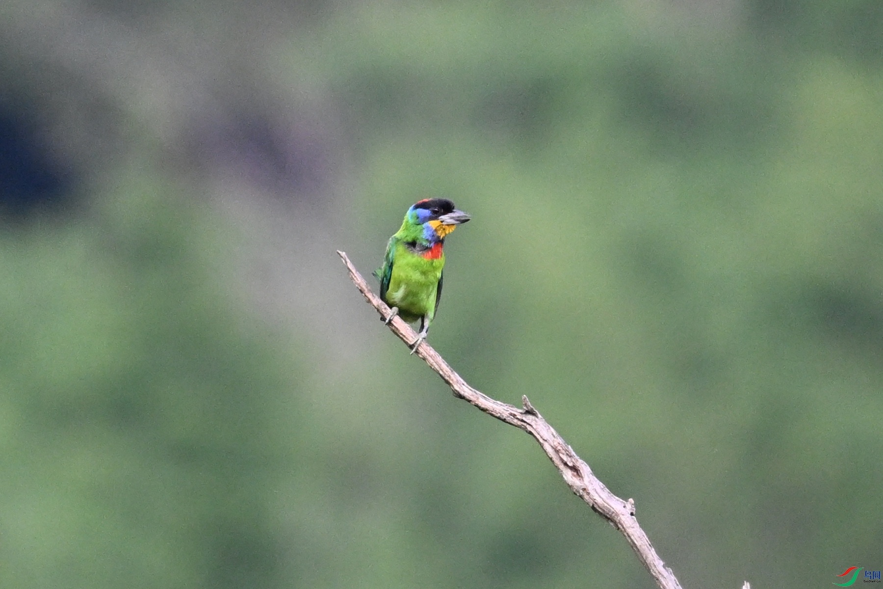 DSC_0229.JPG