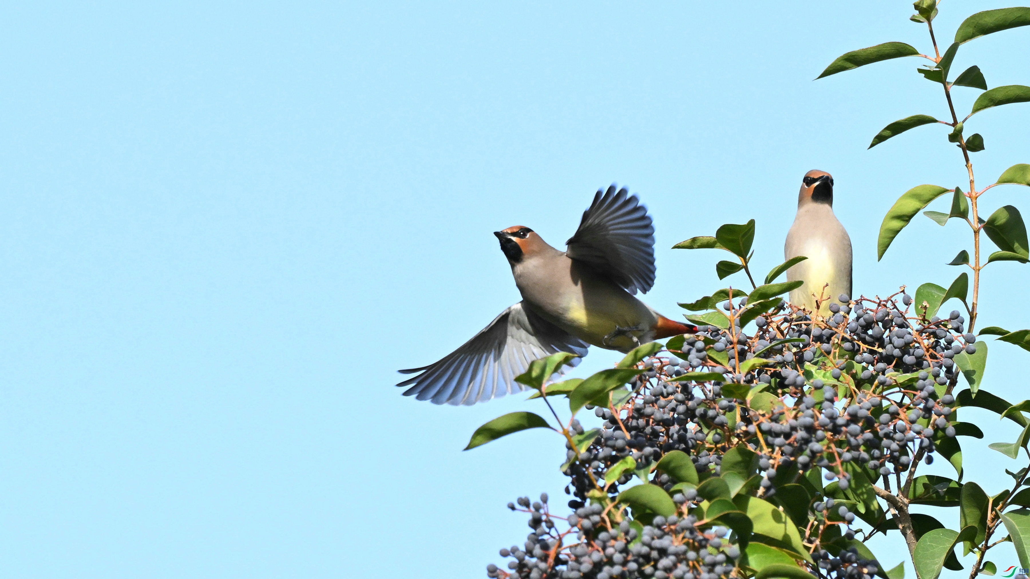 DSC_6774.JPG