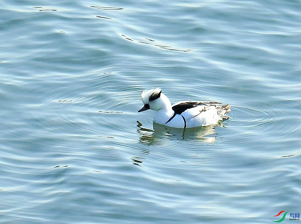 DSC_4634.jpg