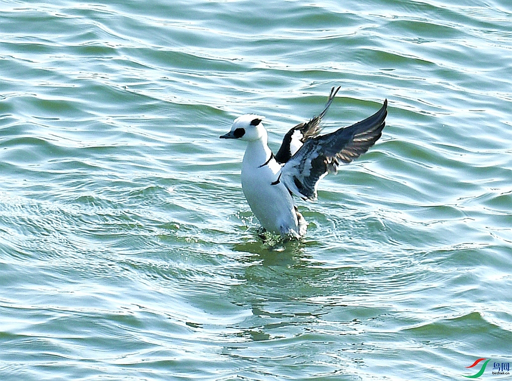 DSC_4503.jpg