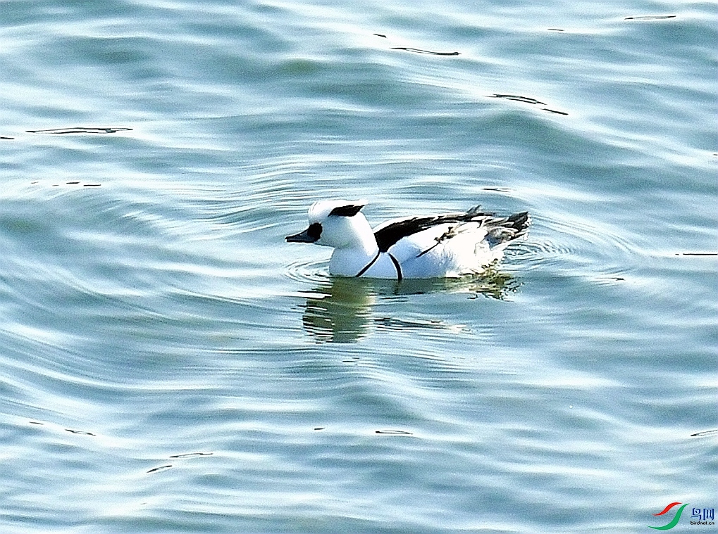 DSC_4636.jpg