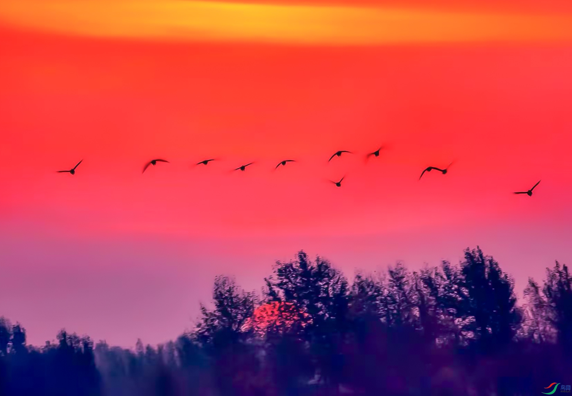 ΢��ͼƬ_20260101144418_321_5�ճ�.jpg