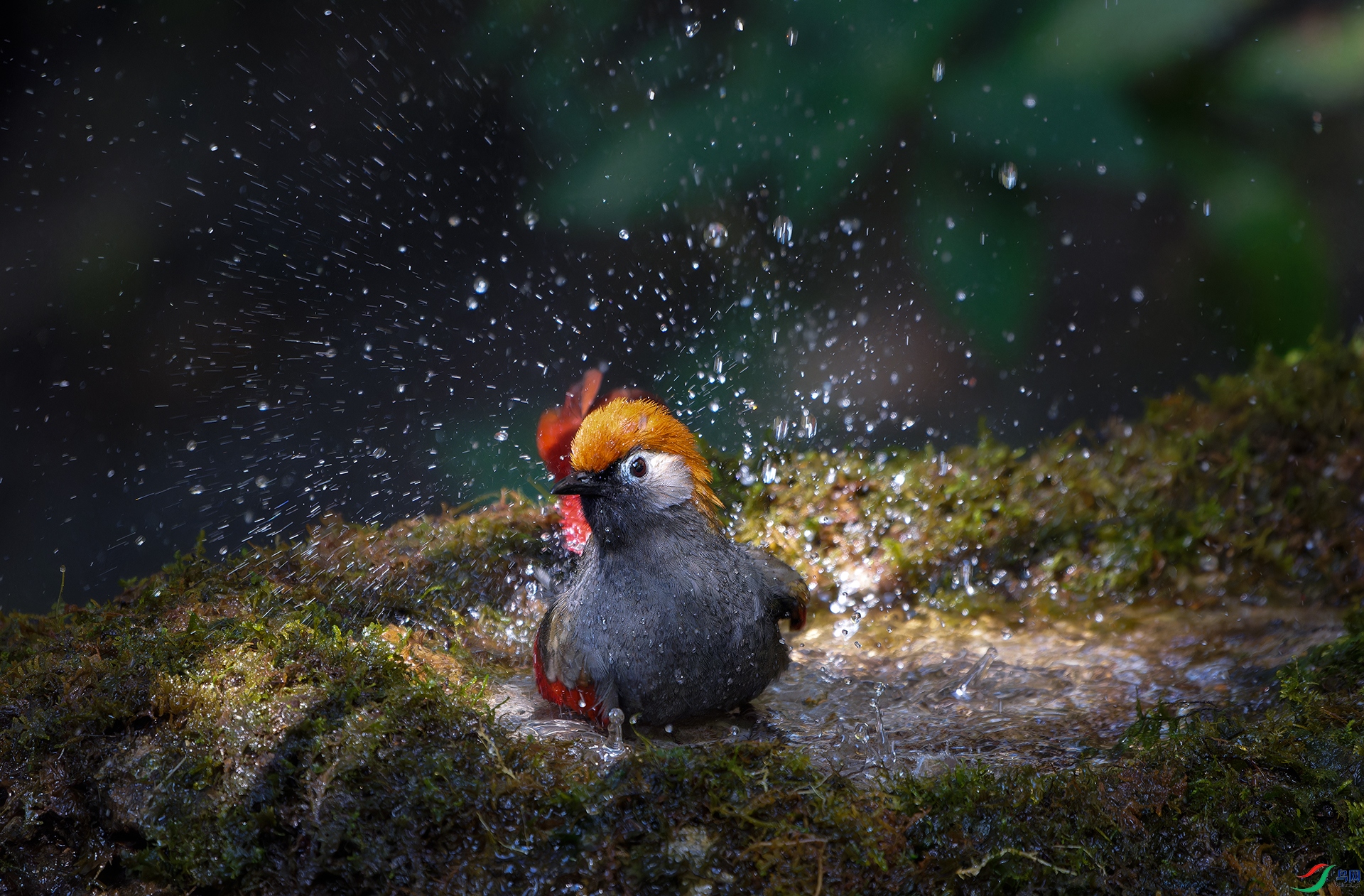 ����2�� �ź�÷ ��ľ��ľ���ԡ.jpg