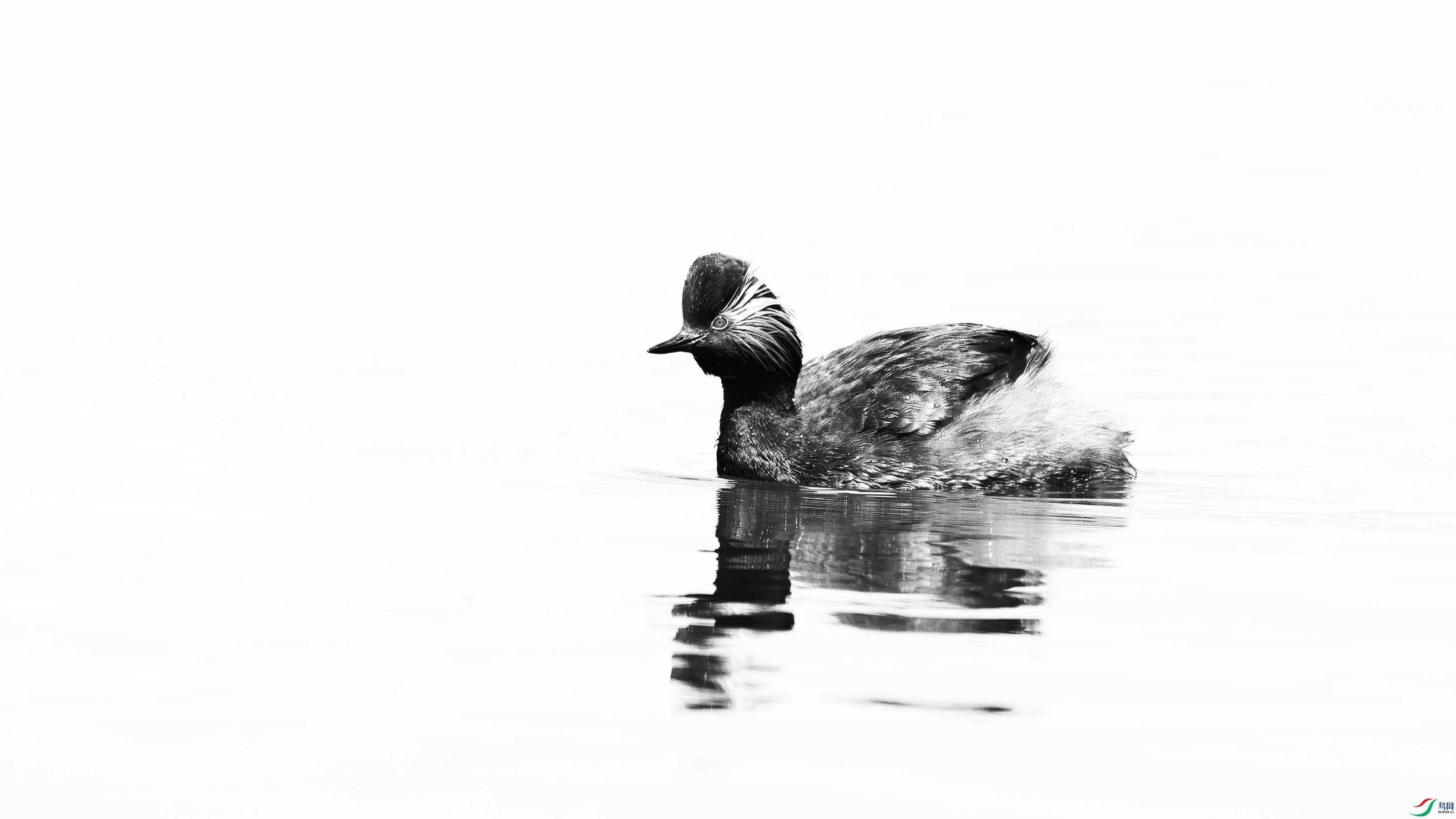 2F6A0878_���� (2)_����.jpg