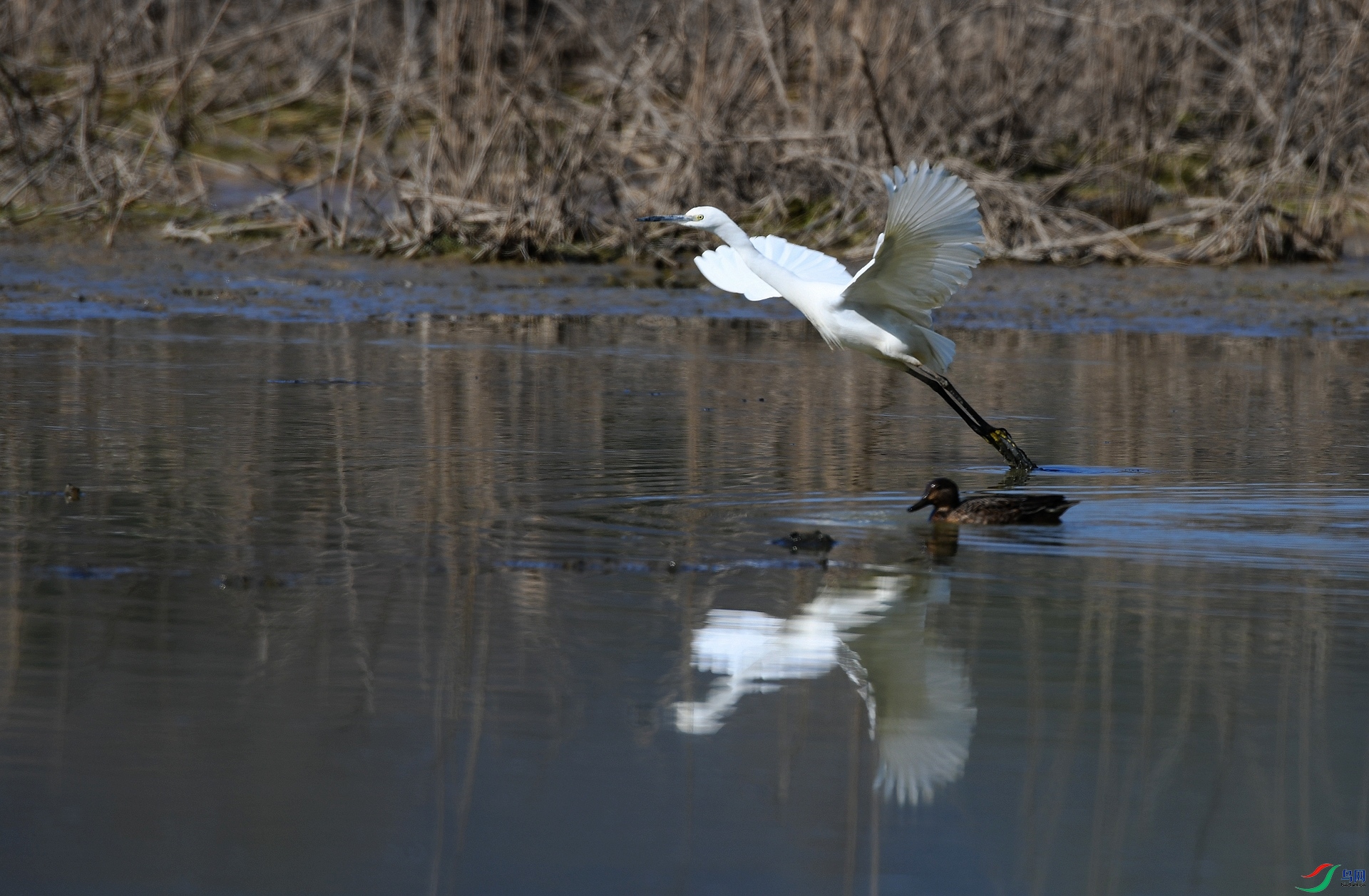 DSC_1868.jpg