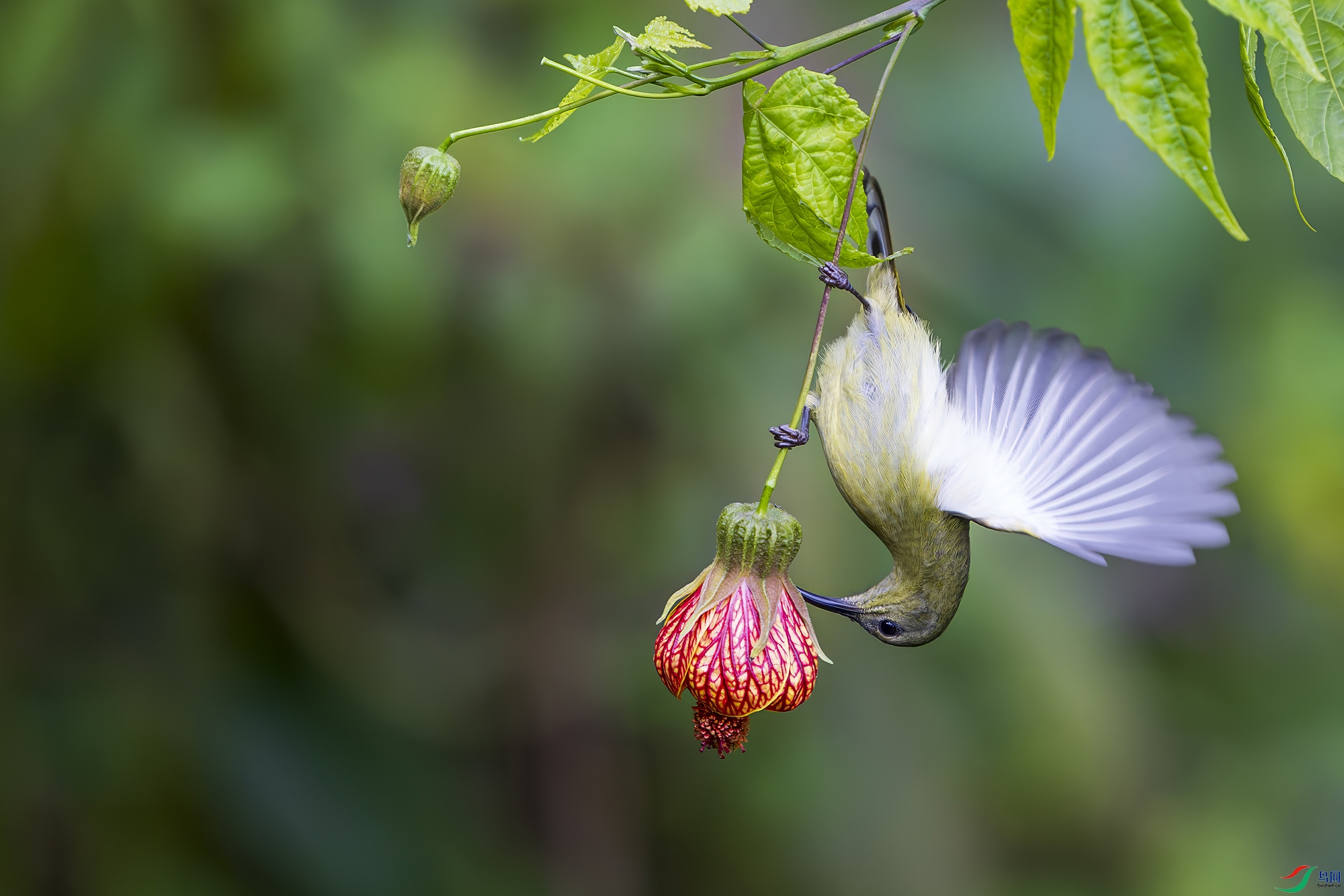 _DSC1828 ���� 2.jpg