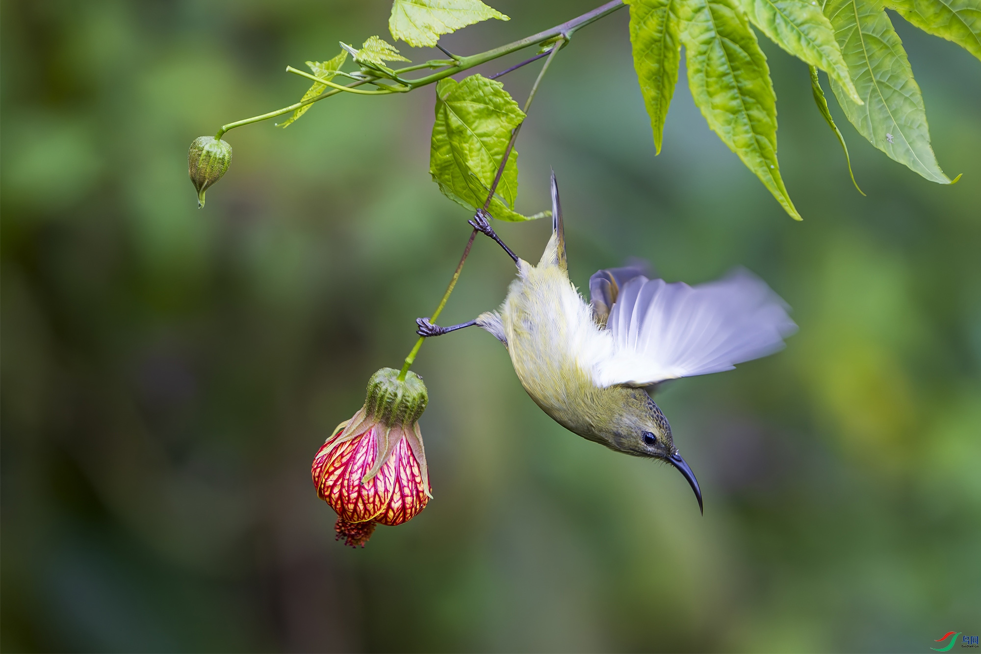 _DSC1863 ���� 2.jpg