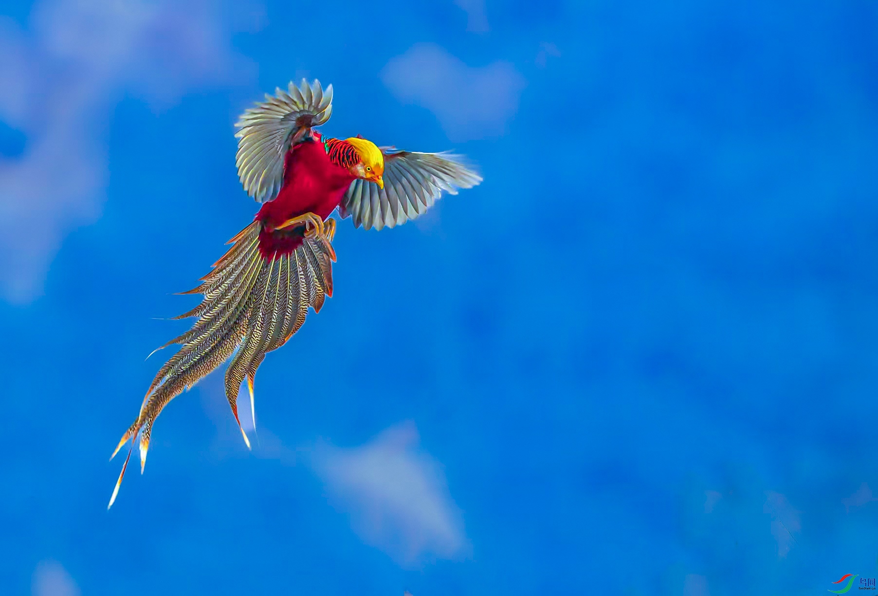 faf65b164dd7ad4103bbe6a97393e9e6 ����.jpg