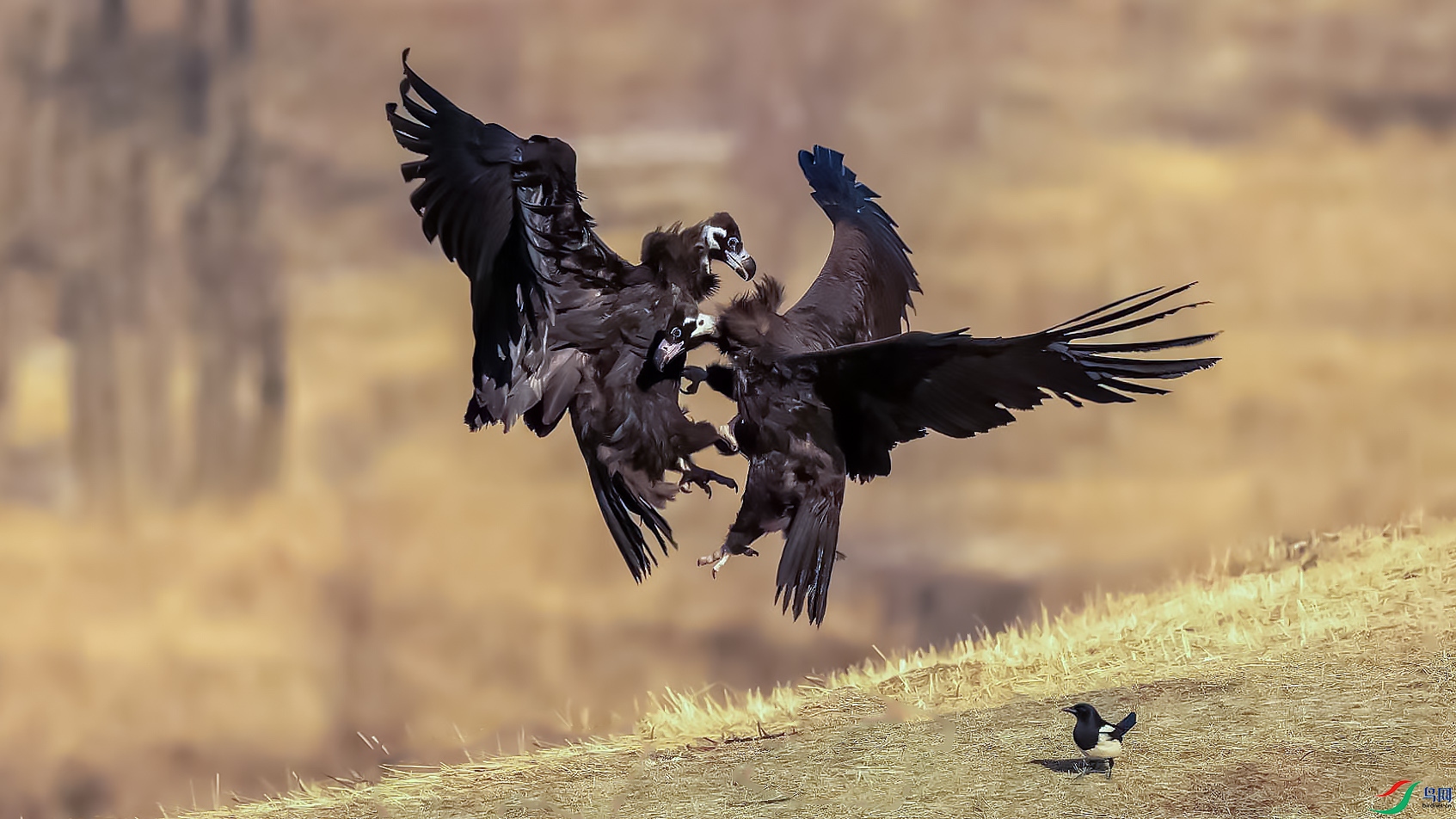 image_1766845349370 ����.jpg