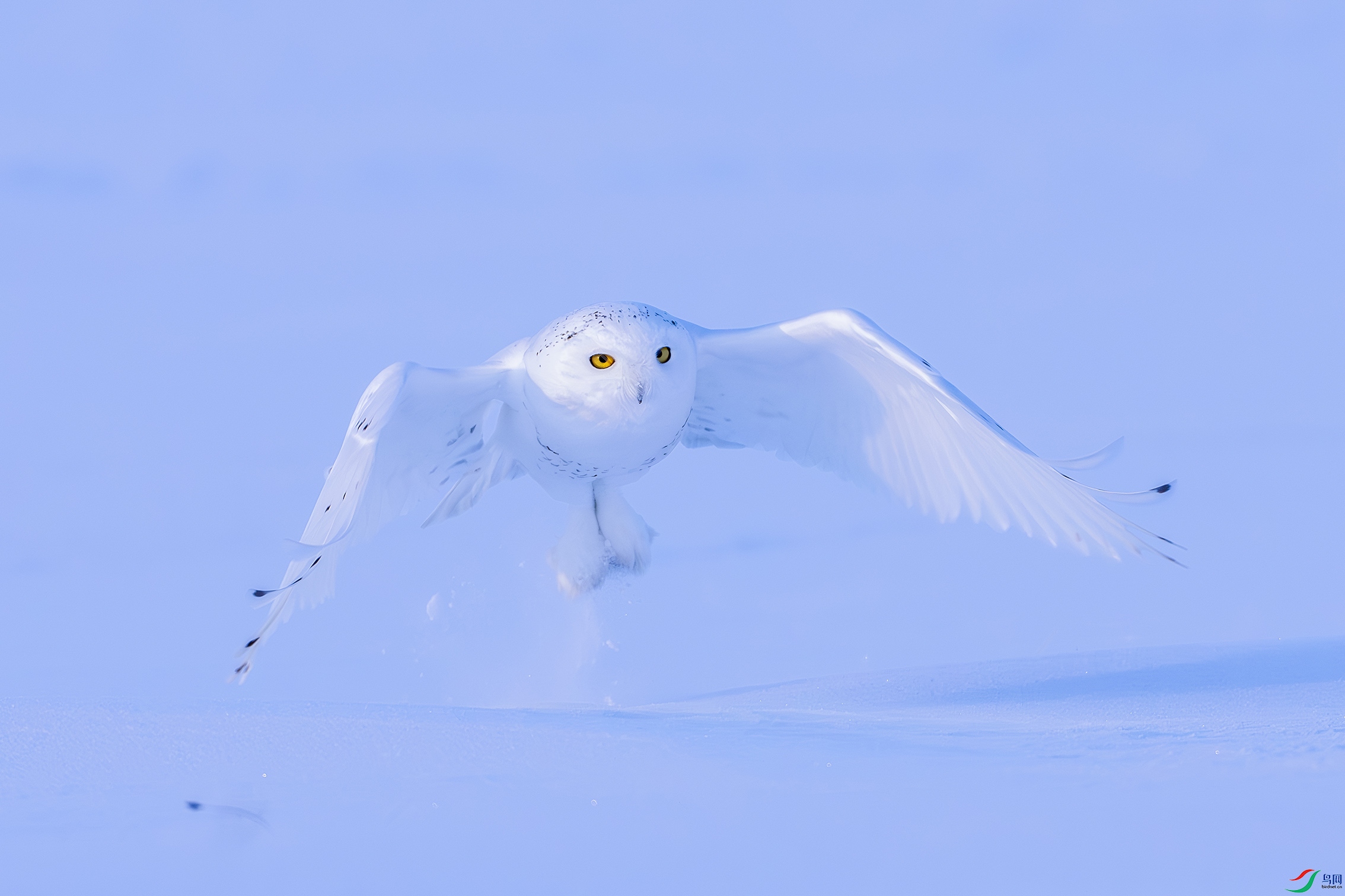 DSC006430-NR ����.jpg