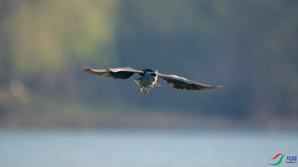 DSC_5192.jpg