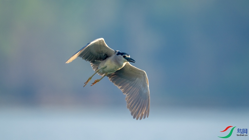 DSC_5373.jpg