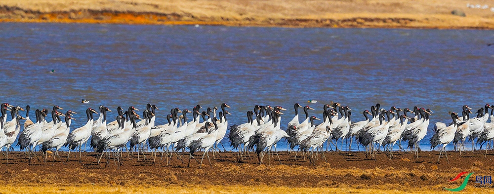 �ھ��� (4).JPG