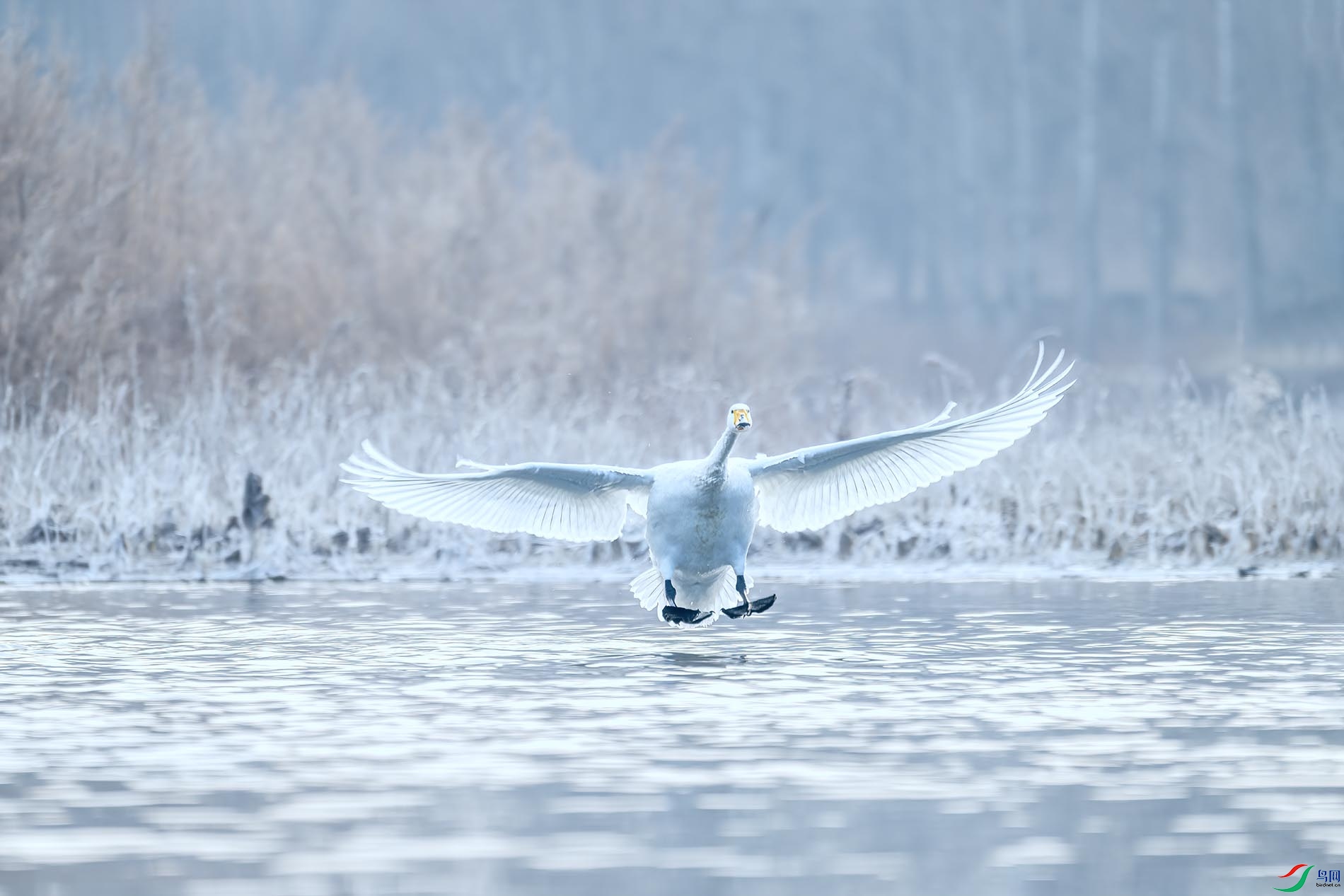 2026�������ˣ�