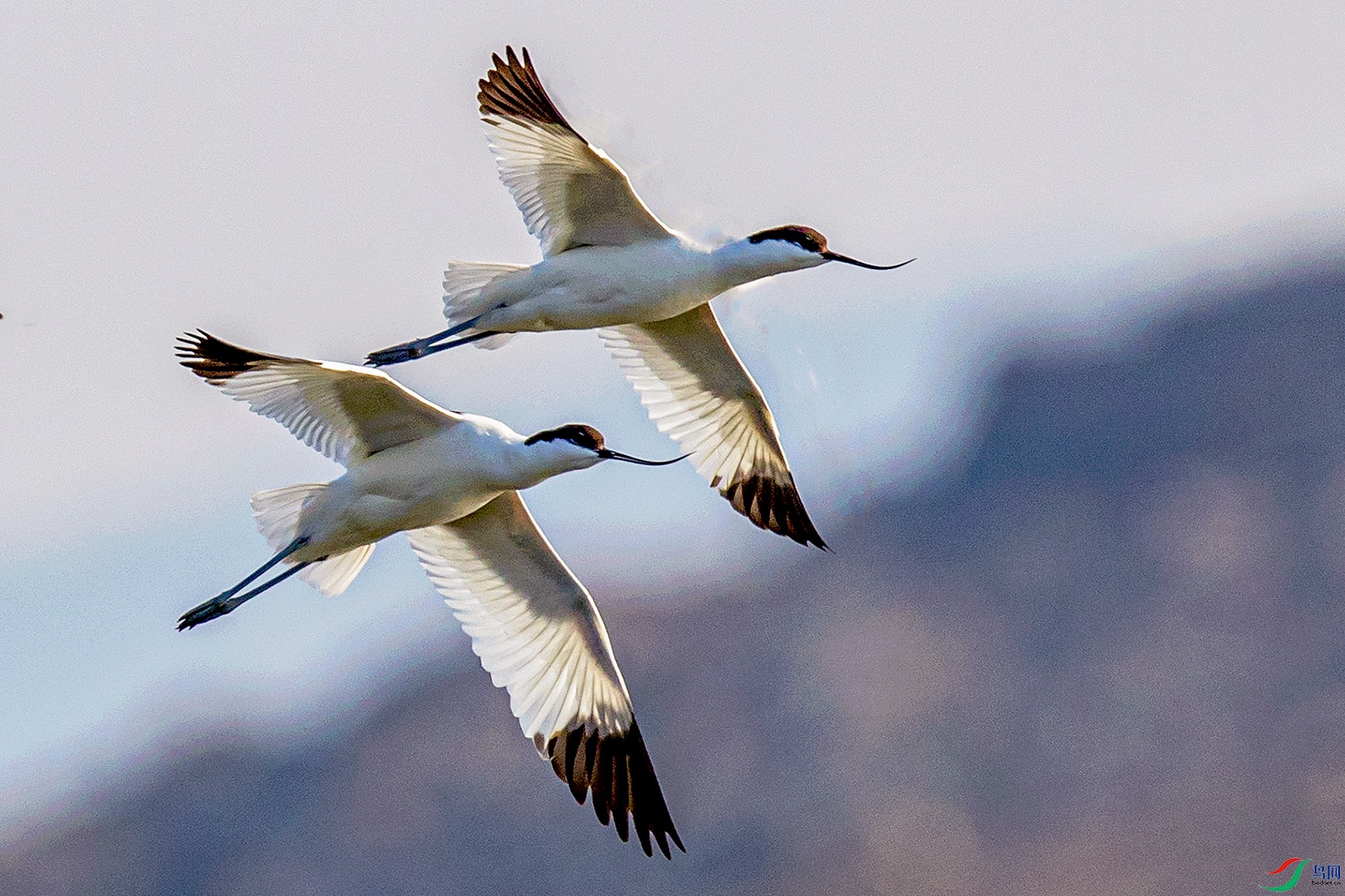 _90I9192 ����.jpg