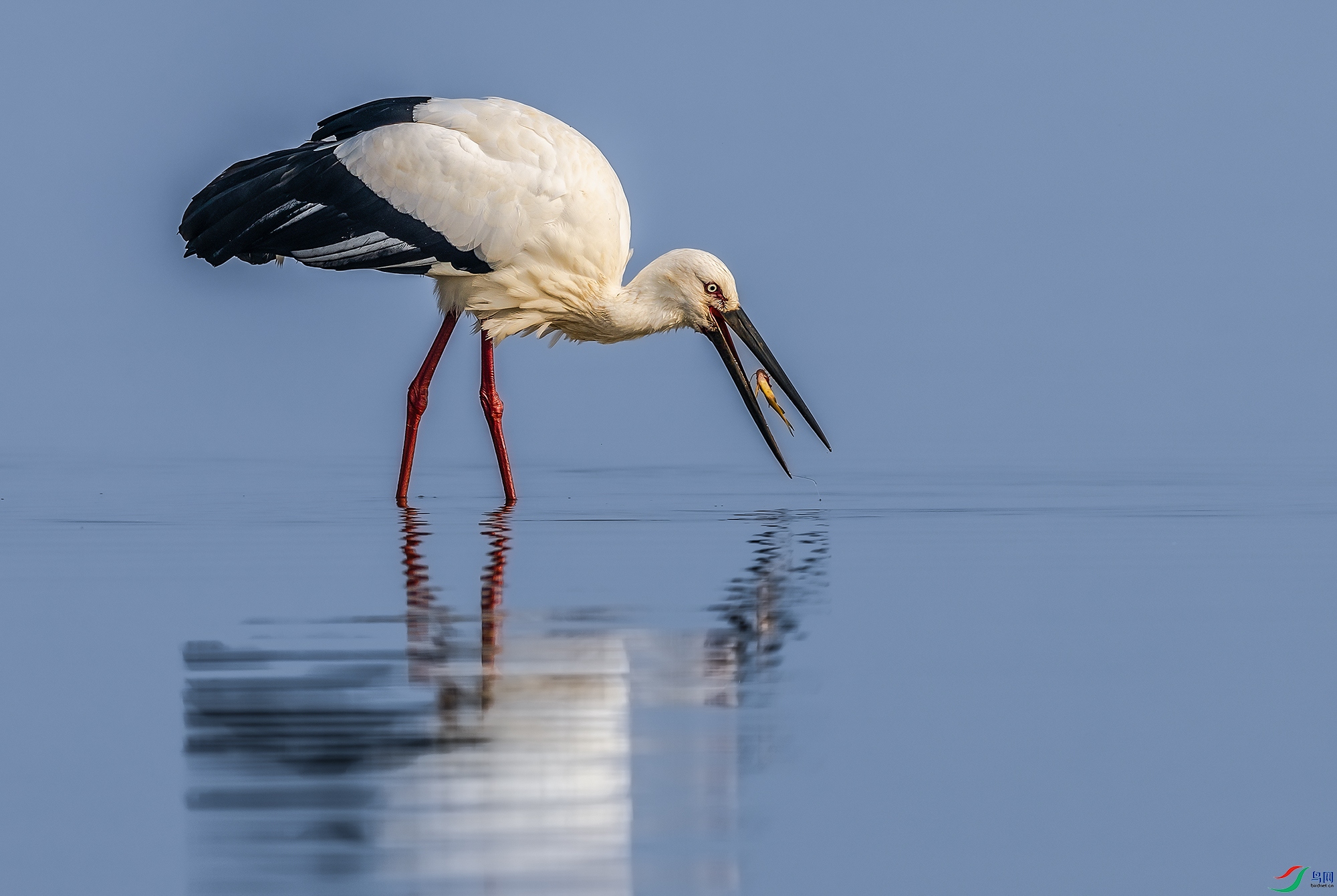 _B8A3451-1 ����11.jpg