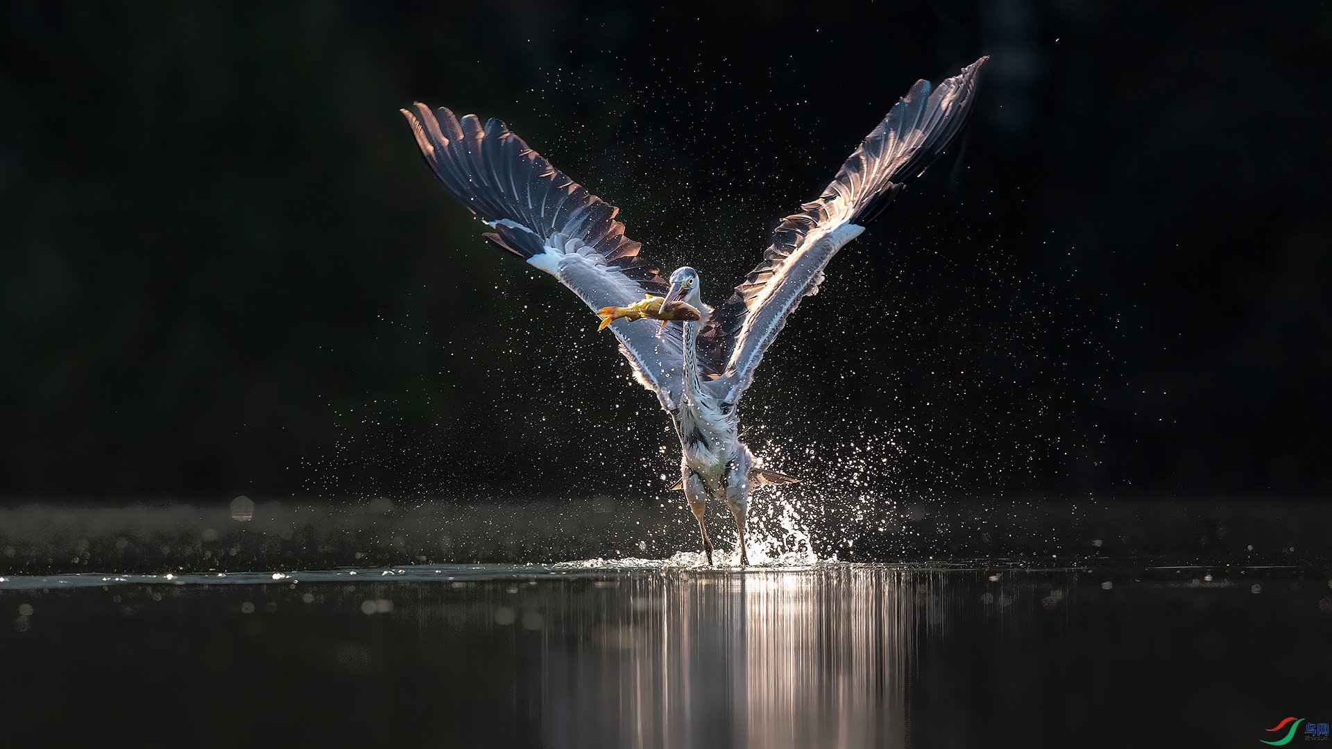 _CGS0562 ����.jpg