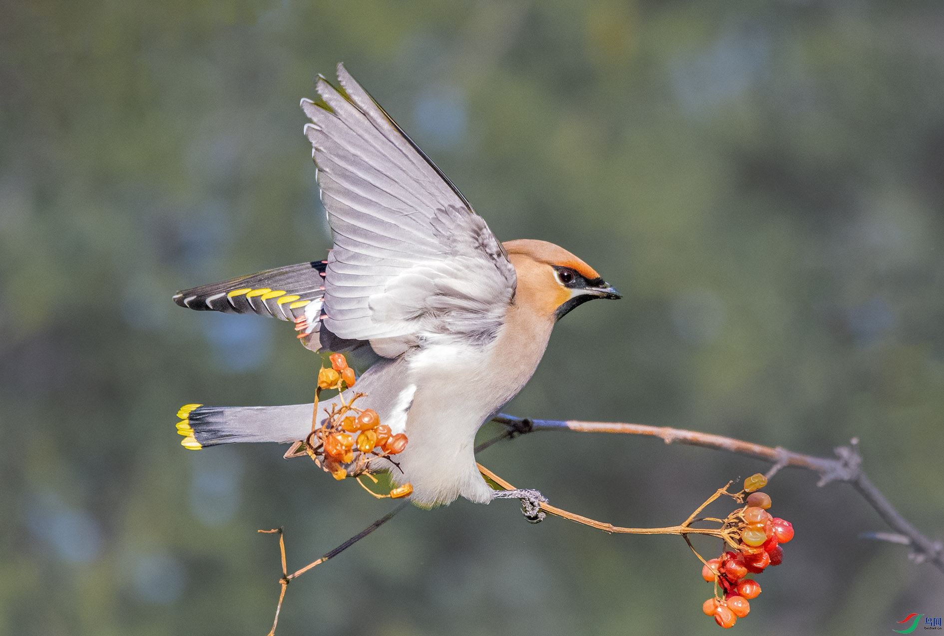 DSC_2996_��ͼ�� ����.jpg