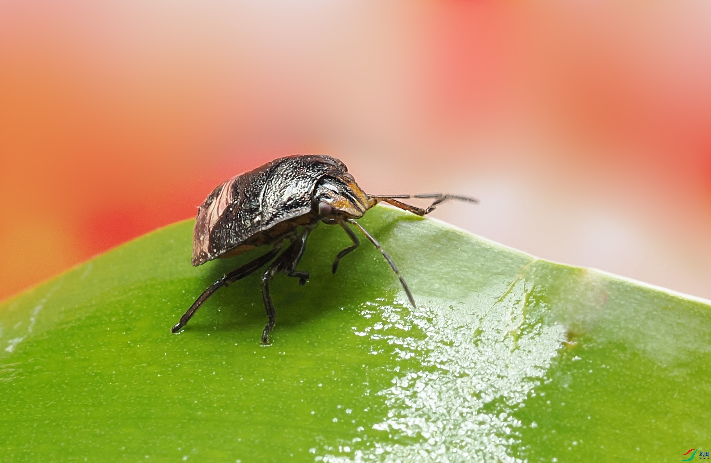 PB140084 ����.jpg