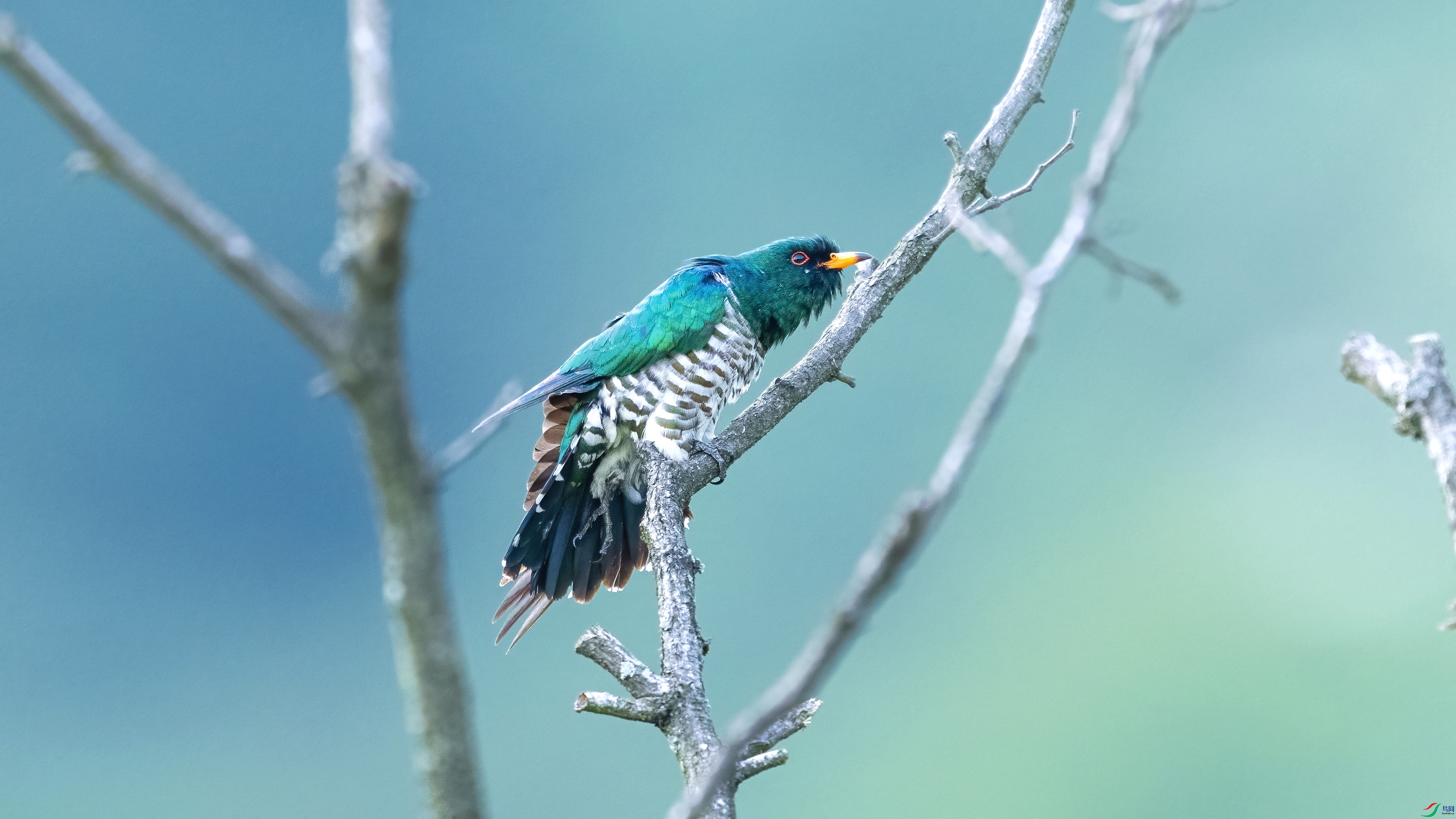 DSC_6495.jpg