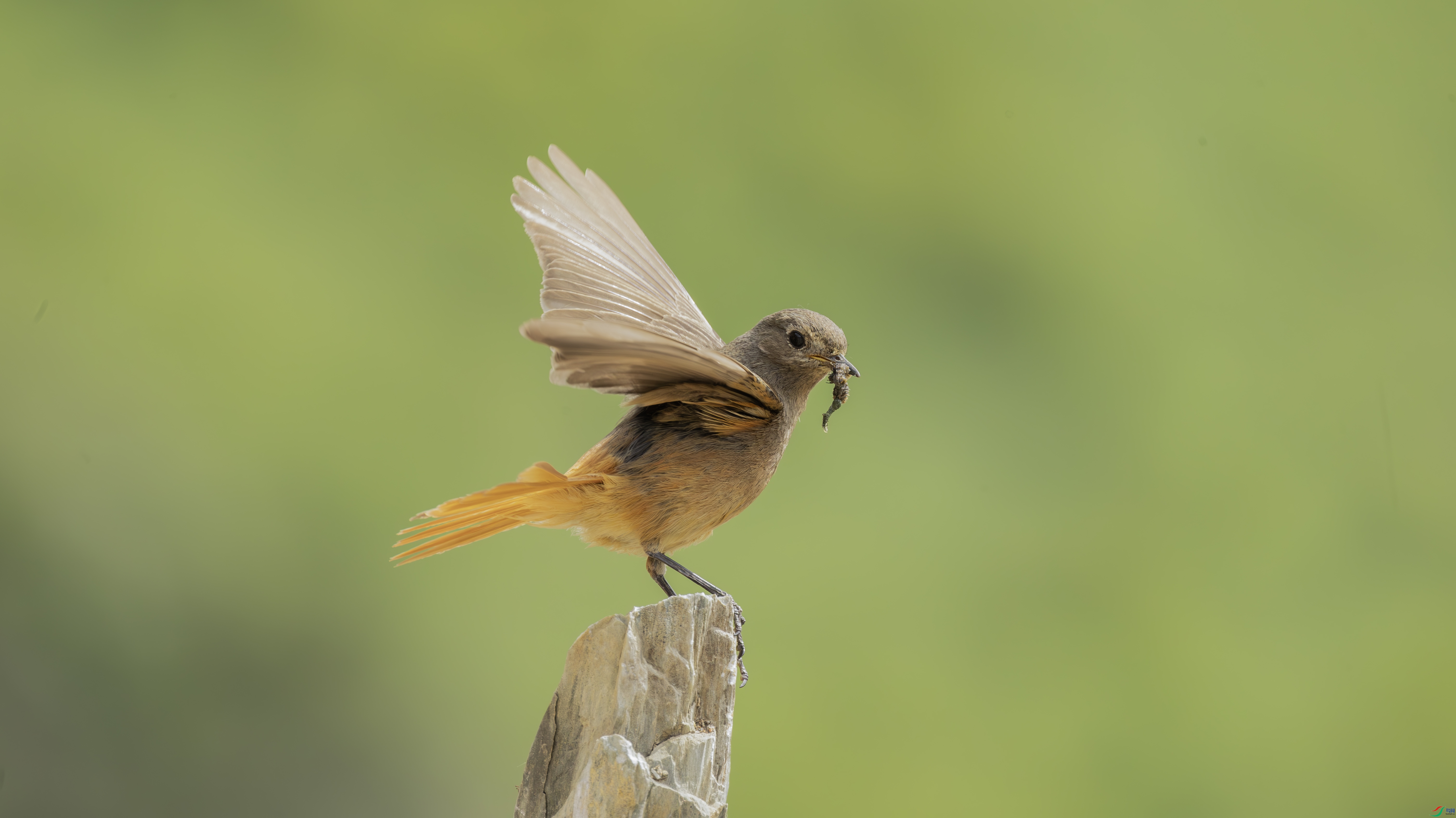 7X5A5875-����ǿ-NR ����.jpg