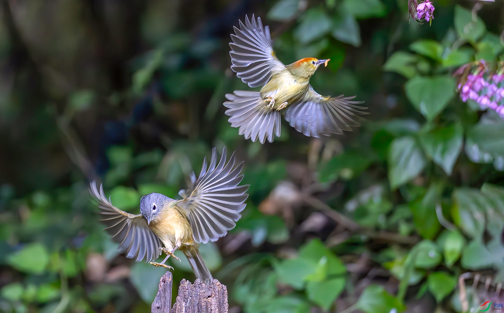 407A2252------33  .jpg