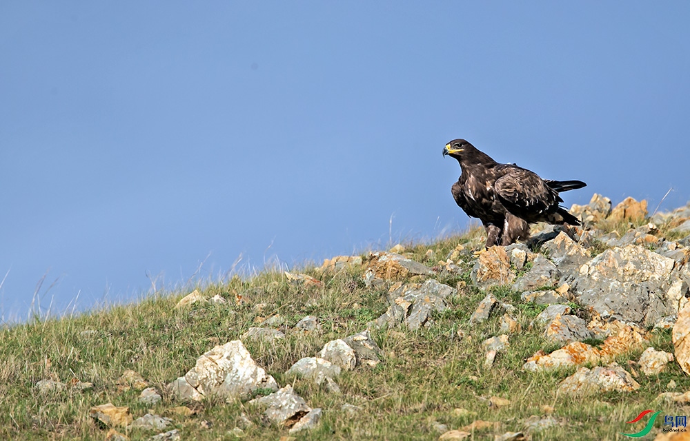 _MG_0774.jpg