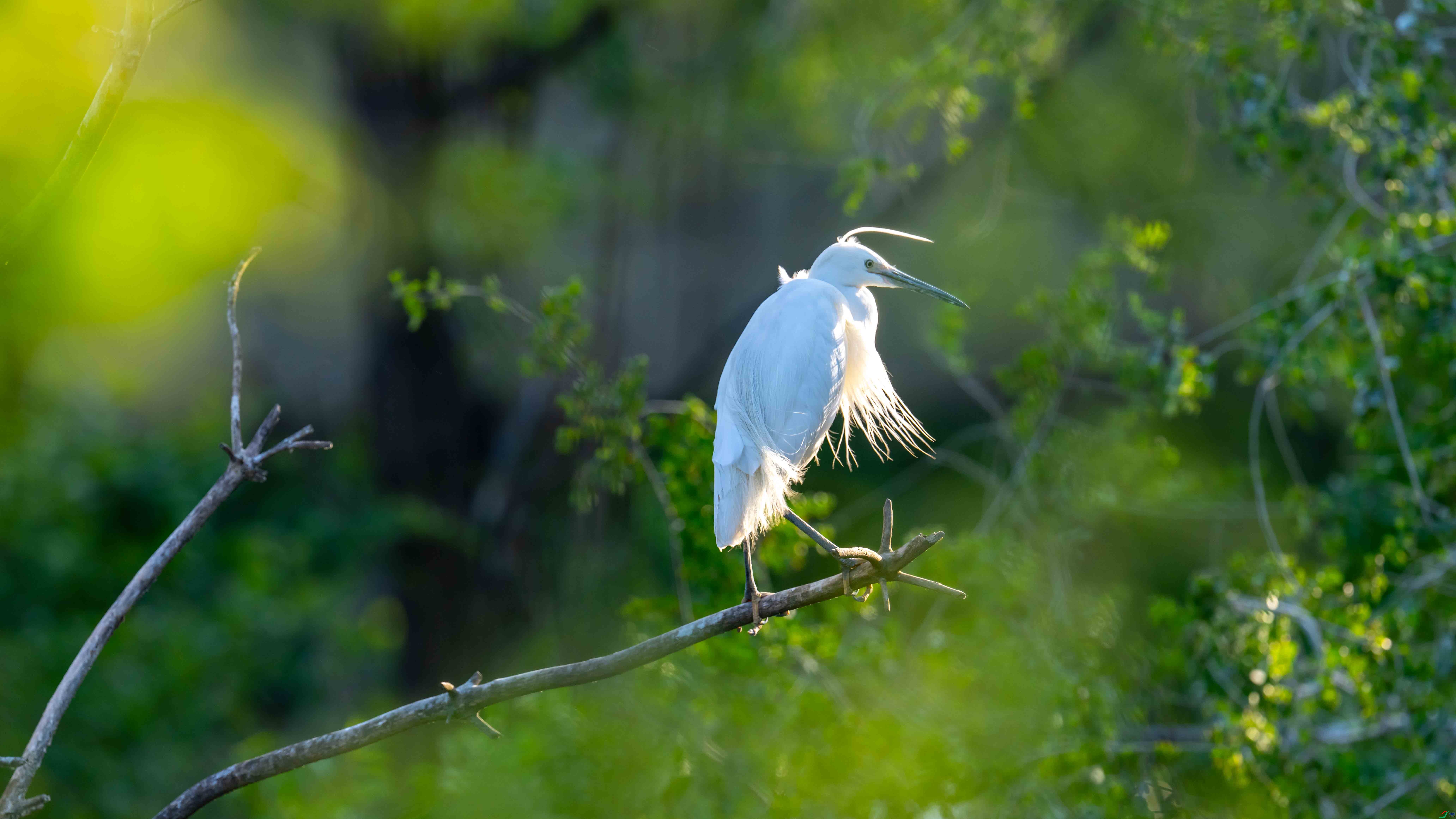 DSC_0196 - ����.jpg