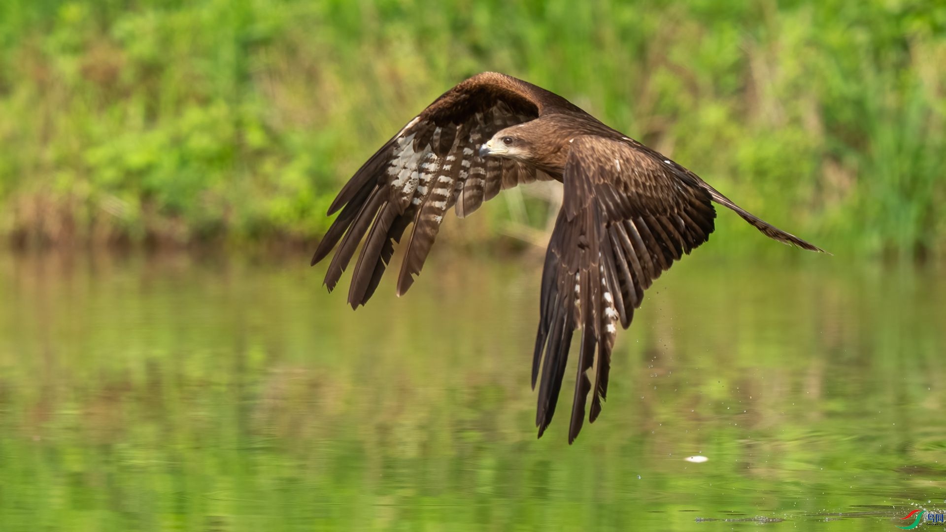 DSC06738 ����.jpg