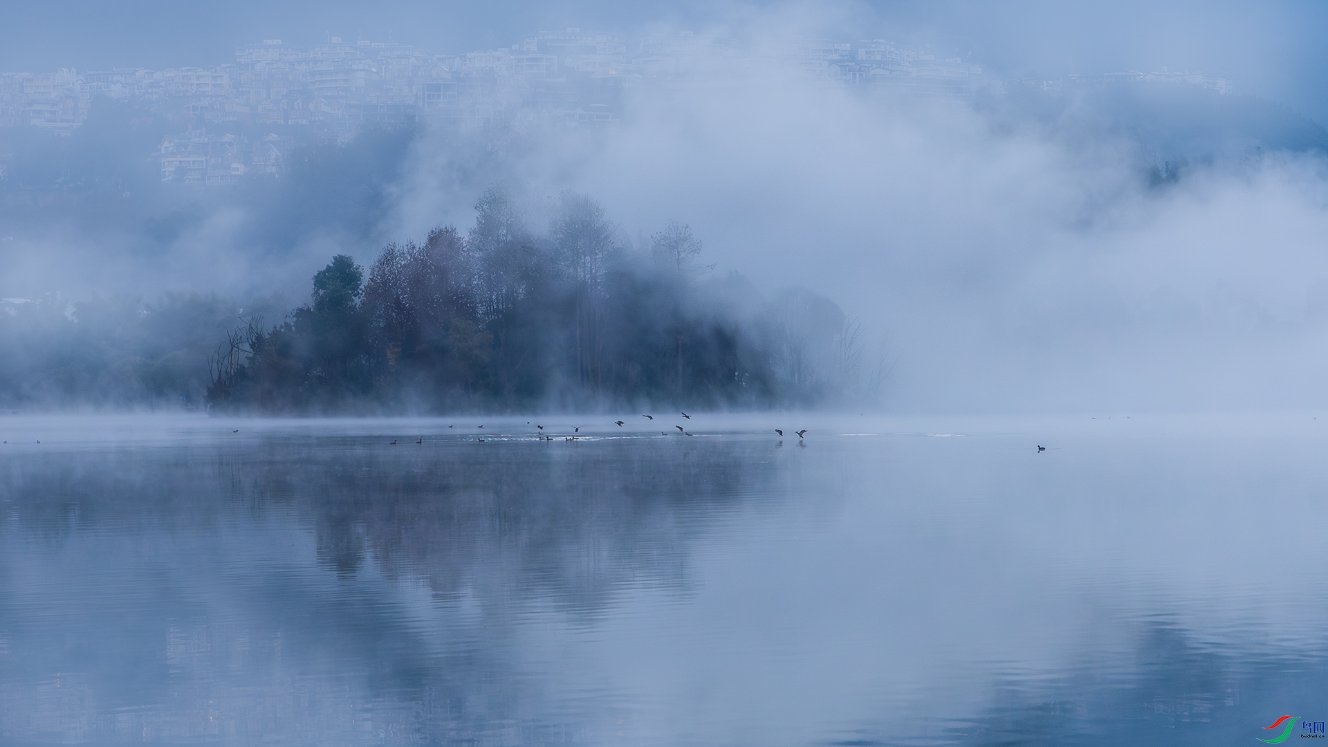 1I9A7792-1ab.jpg