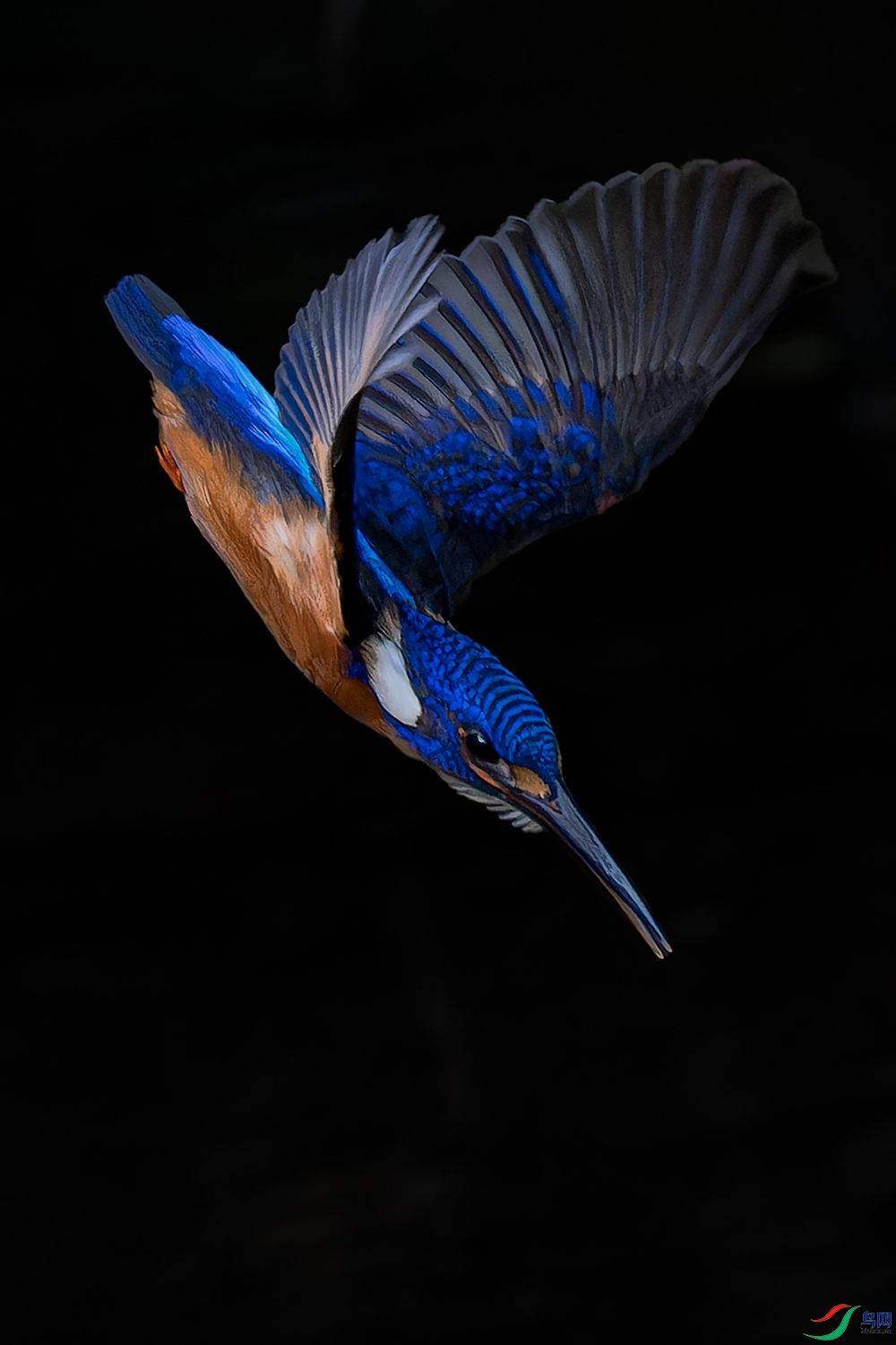 _97A2927-CR3 copy.jpg